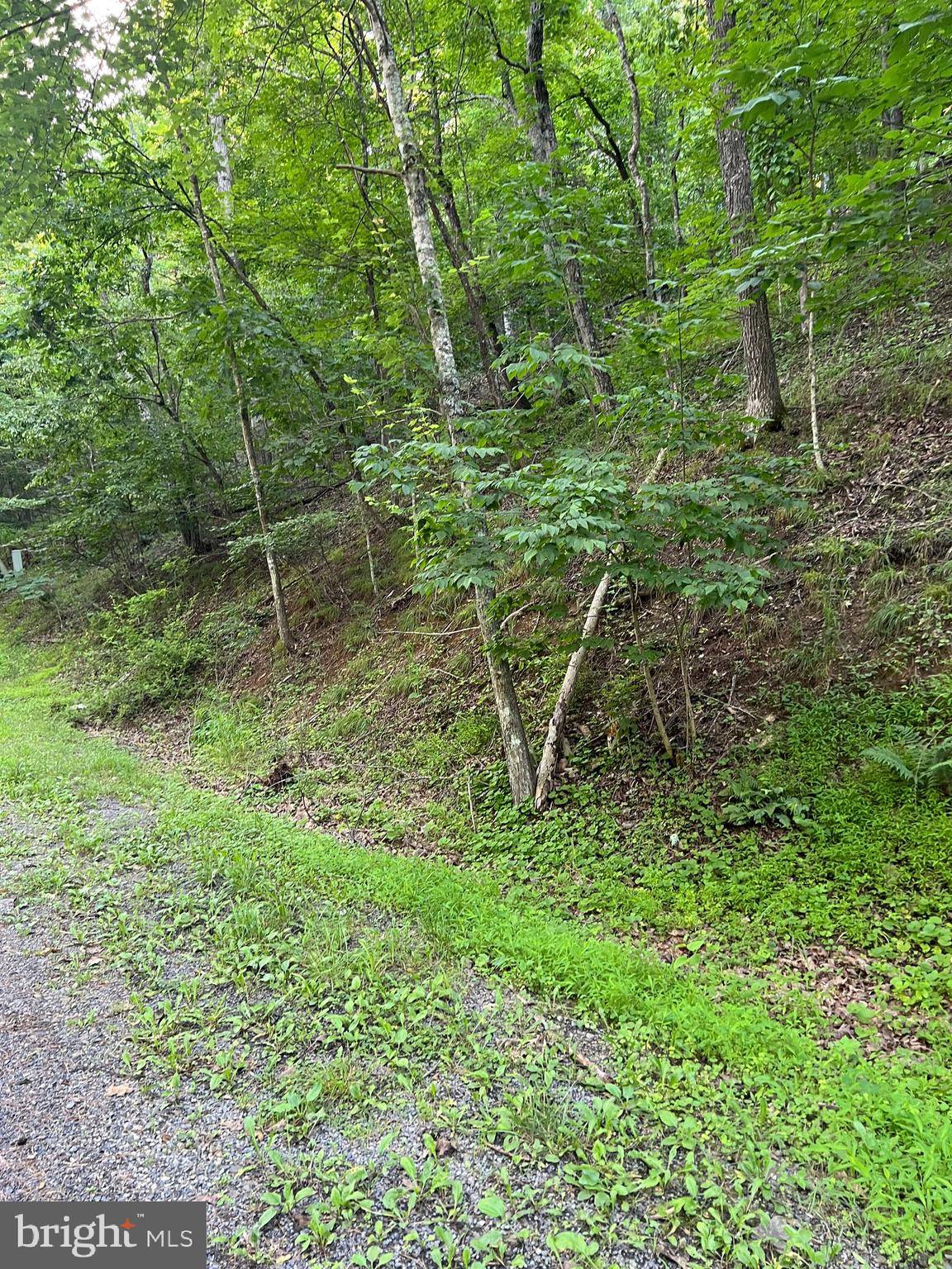 Basye, VA 22810,LOT 161 LEE RD