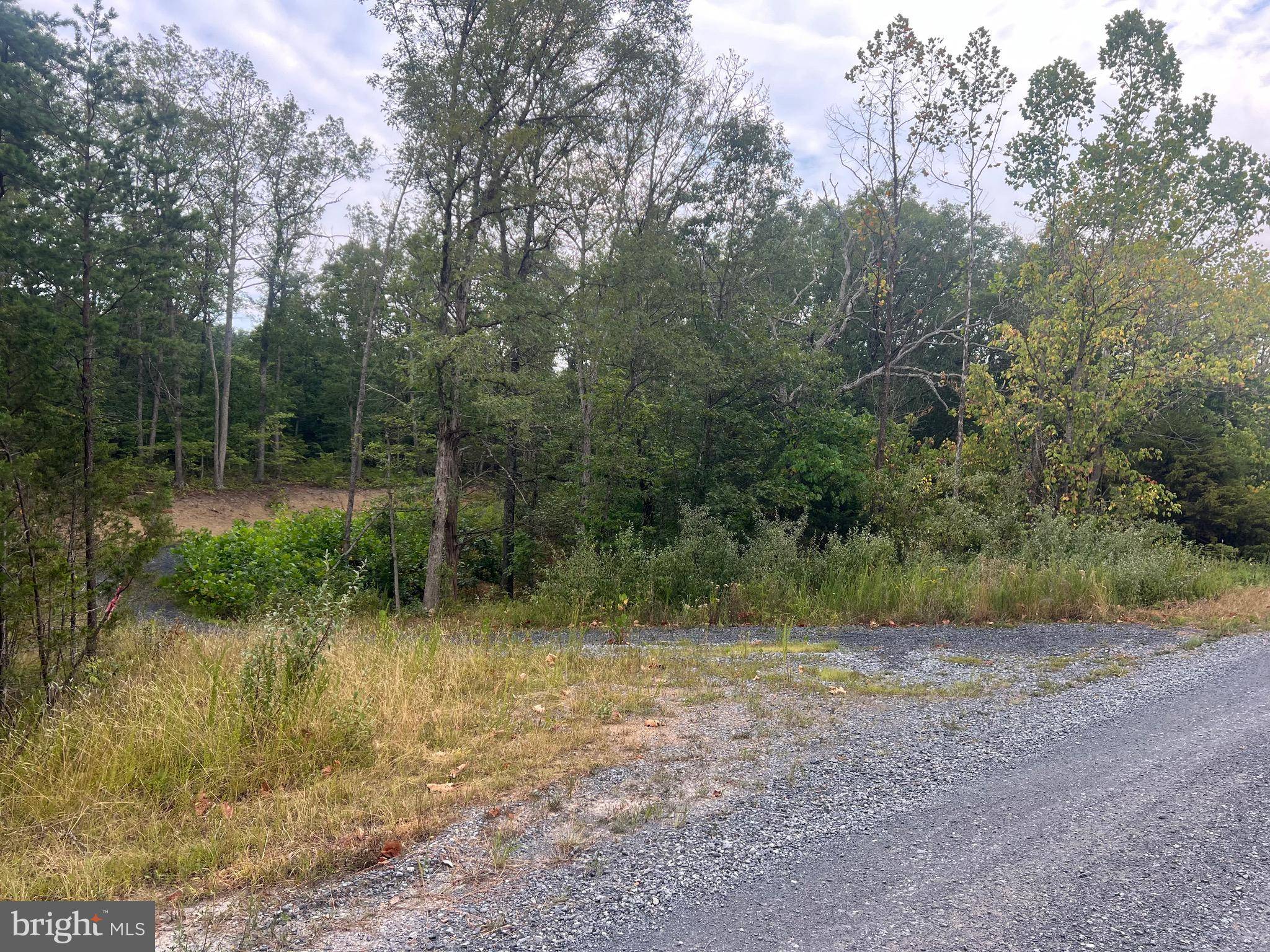 Middletown, VA 22645,LOT 36A RED HAWK RD
