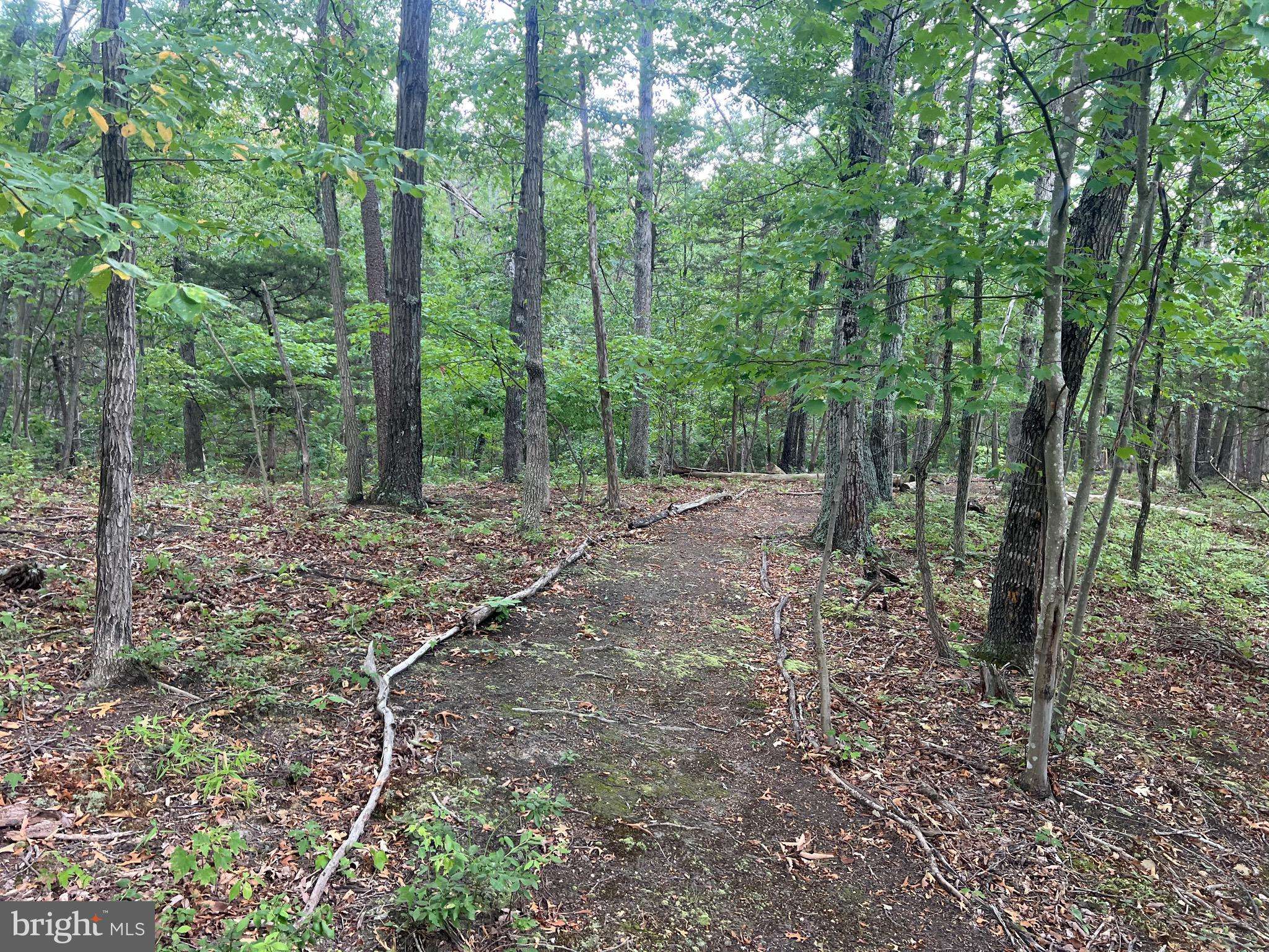 Middletown, VA 22645,LOT 36A RED HAWK RD