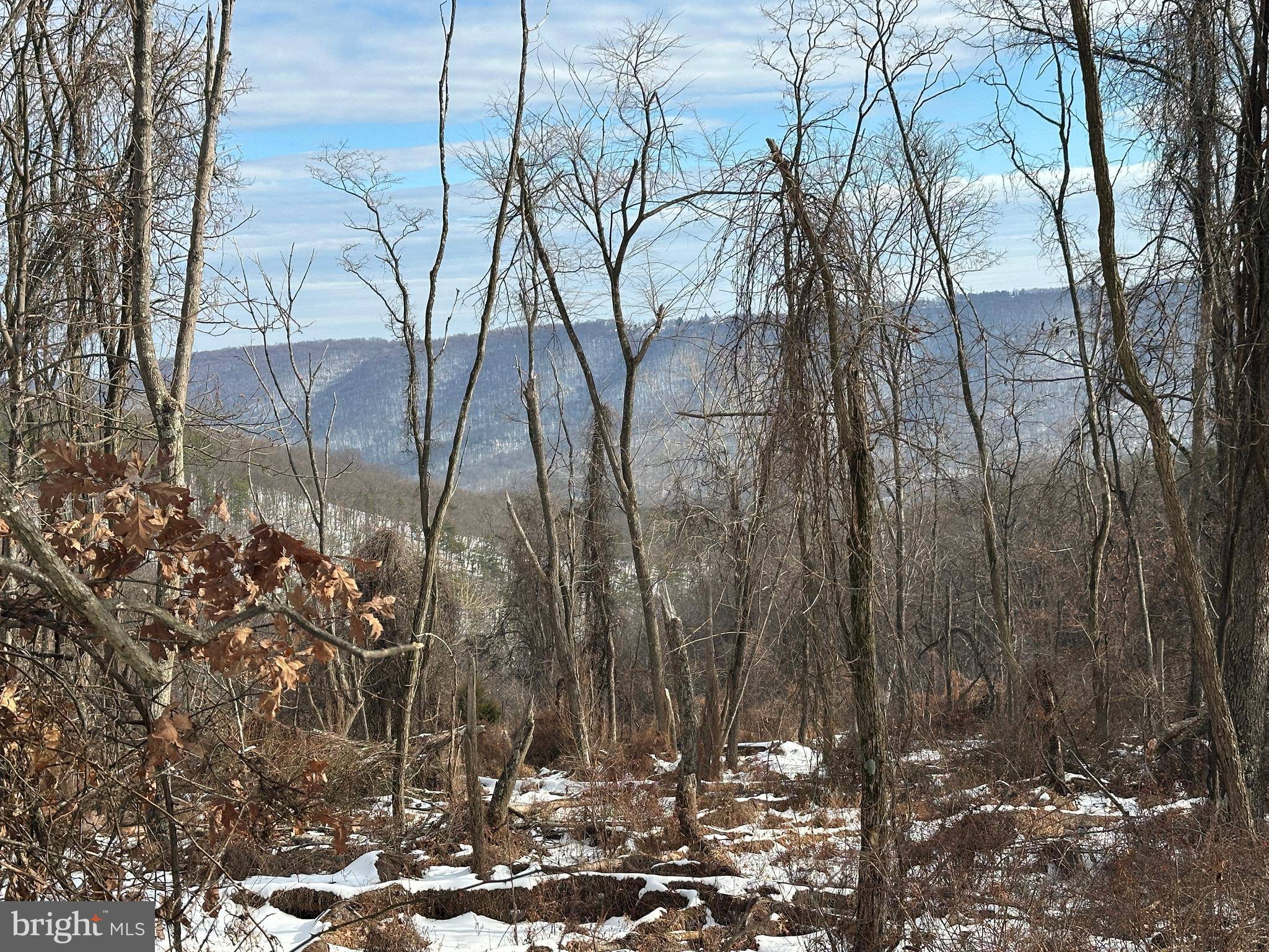 Romney, WV 26757,234 BLUFFS ON THE POTOMAC