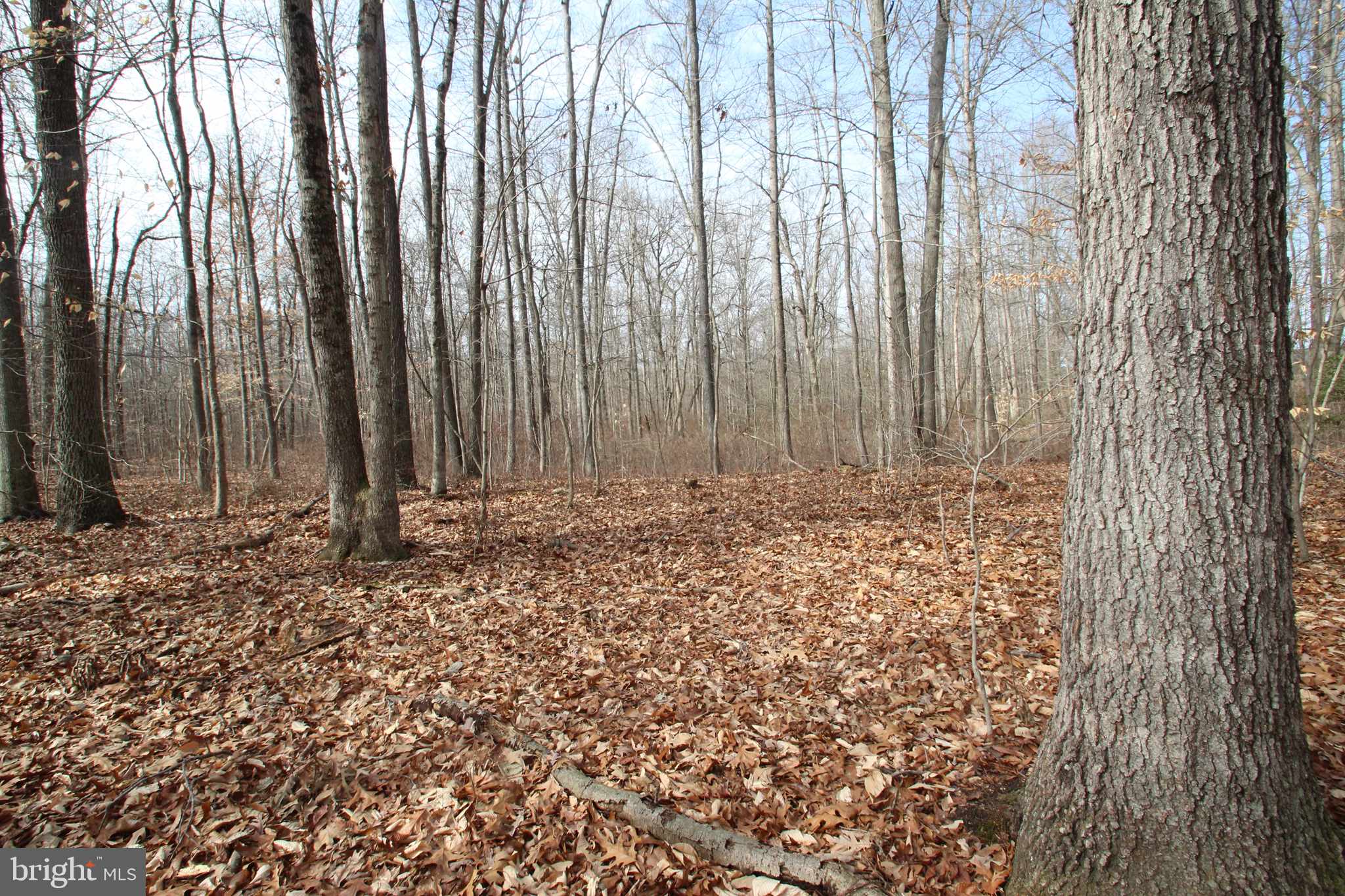 Townsend, DE 19734,0 DEXTER CORNER RD
