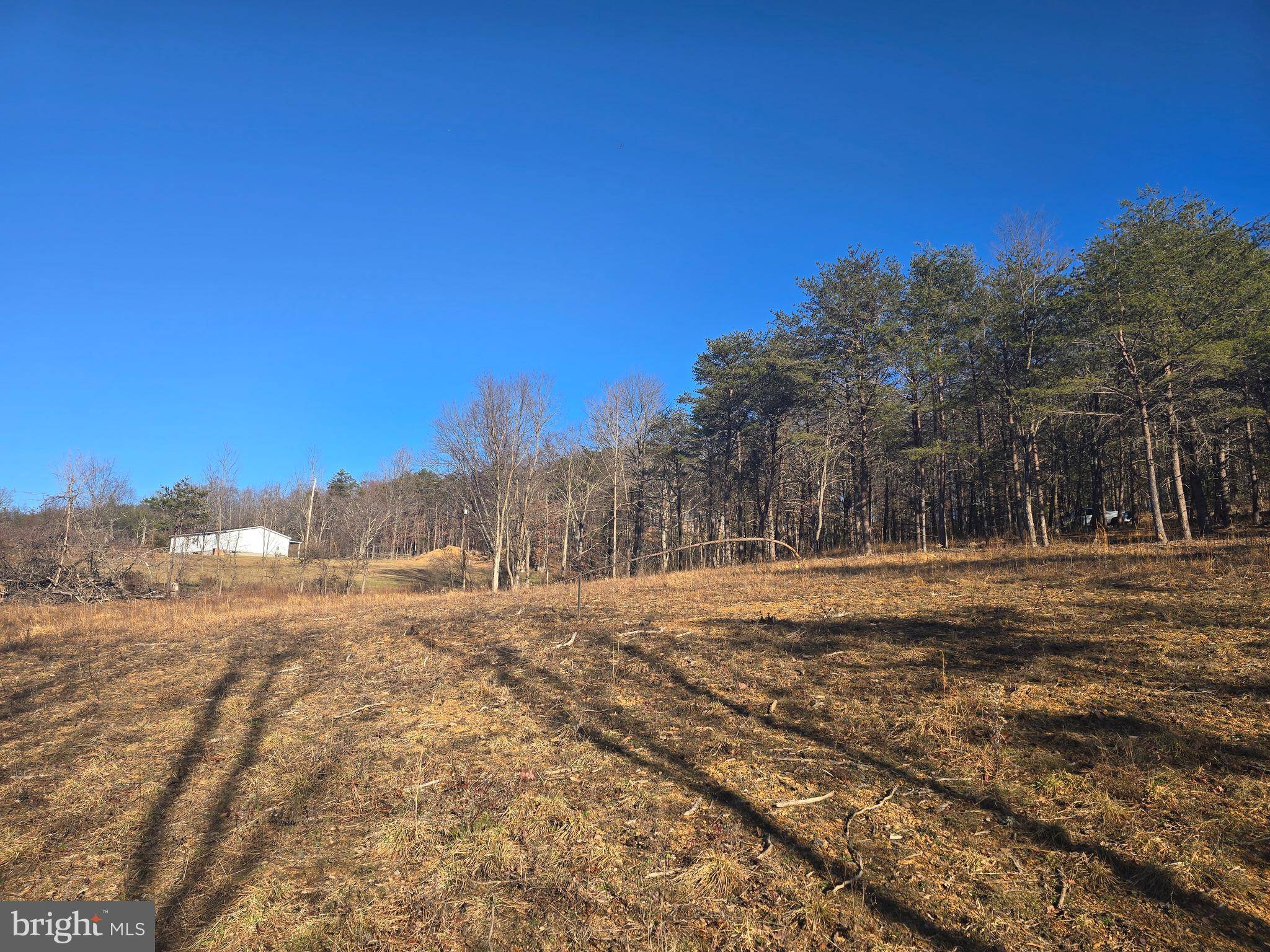 Berkeley Springs, WV 25411,SPIELMAN ROAD - LOT 1