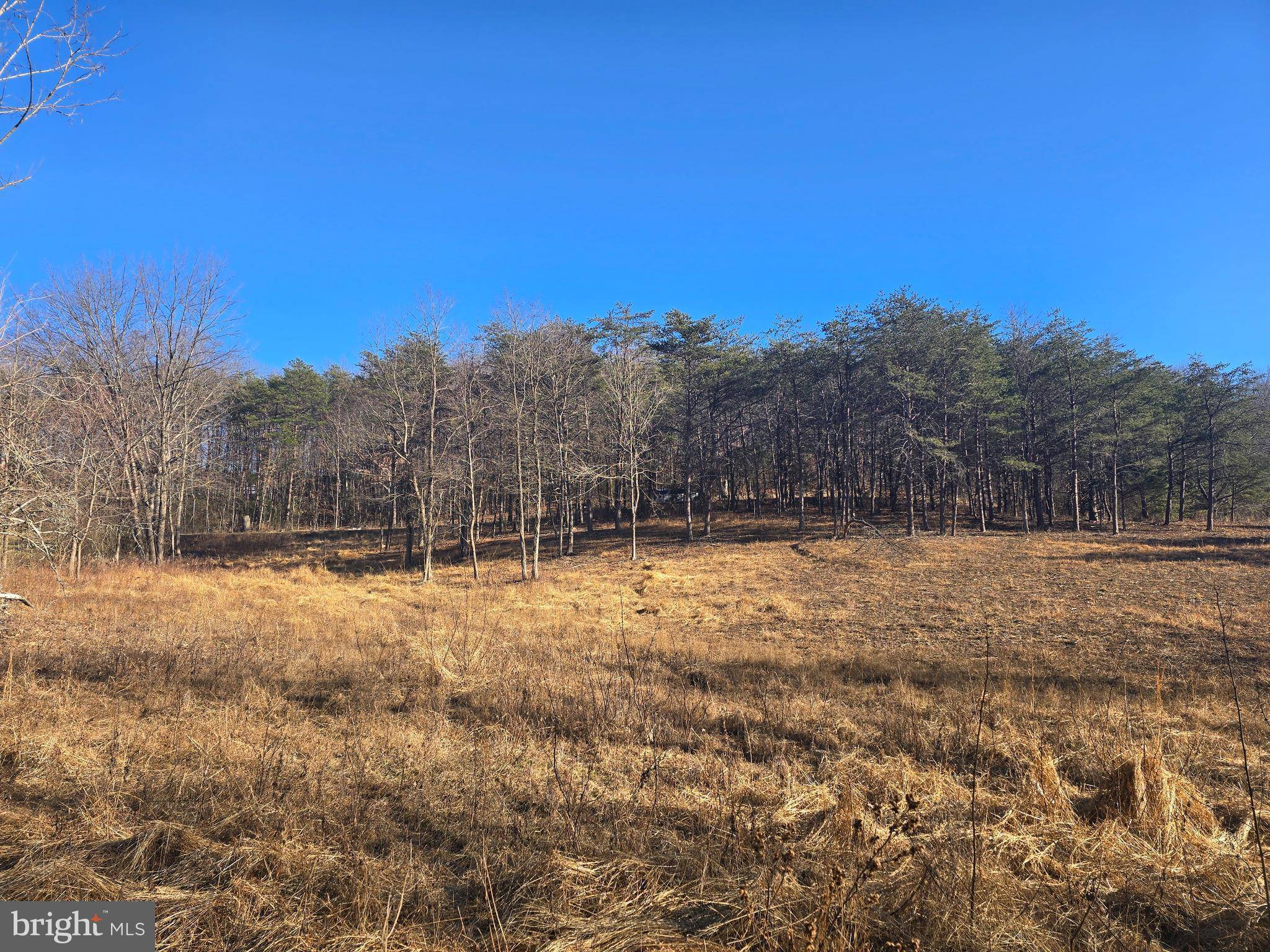 Berkeley Springs, WV 25411,SPIELMAN ROAD - LOT 1