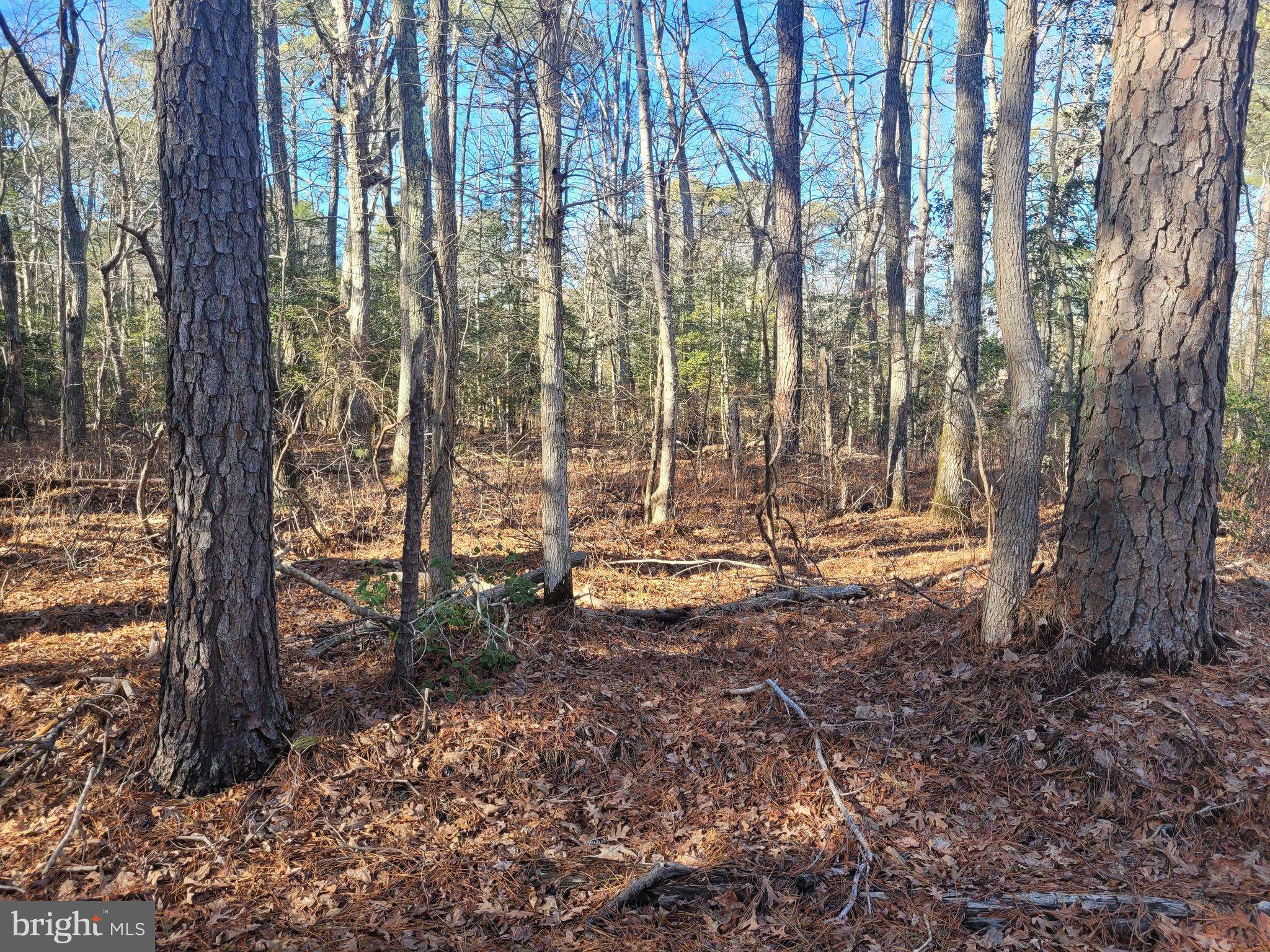Hague, VA 22469,LOT 20 ORANGE DRIVE