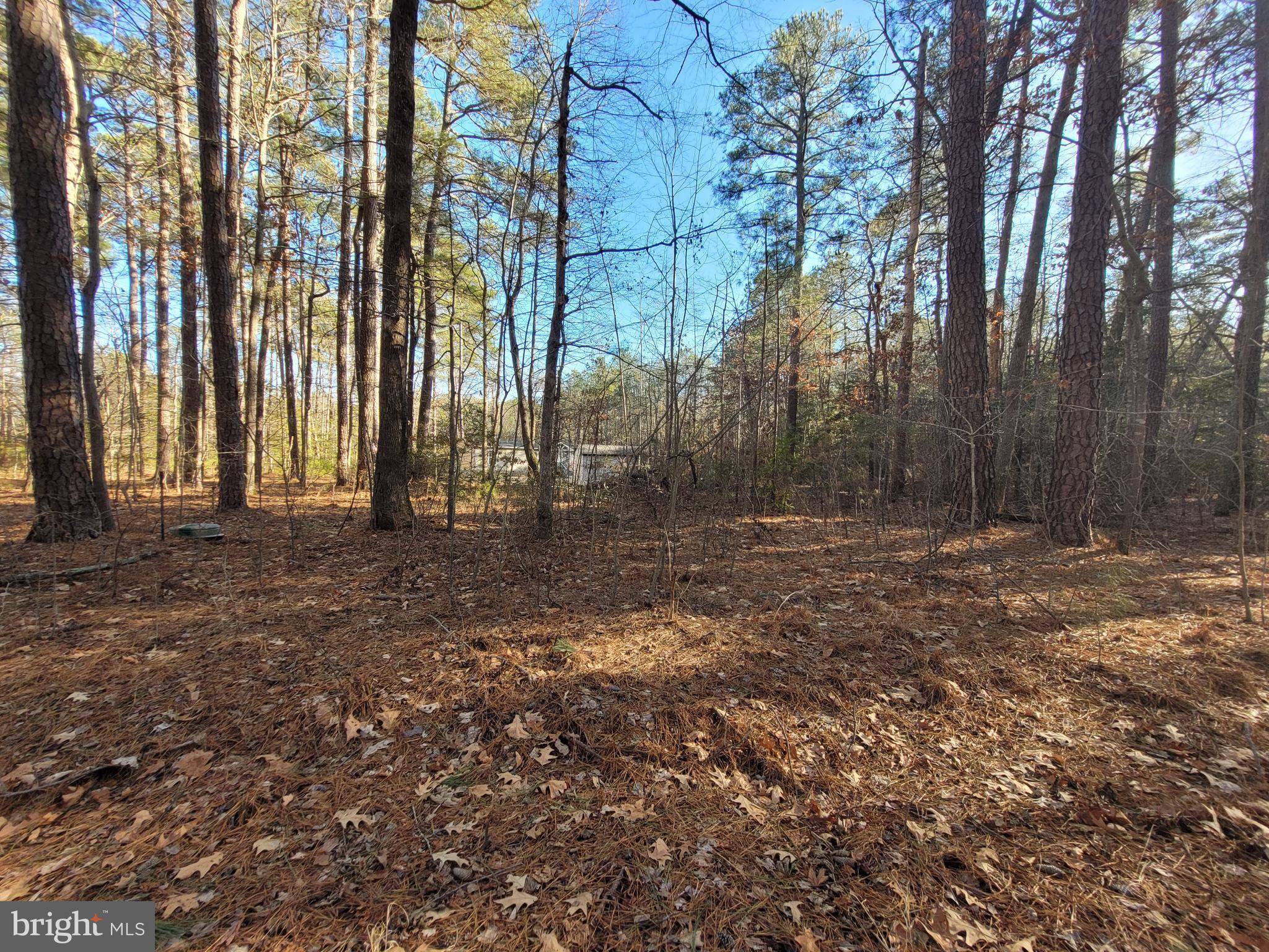 Hague, VA 22469,LOT 8 DIAMOND DRIVE