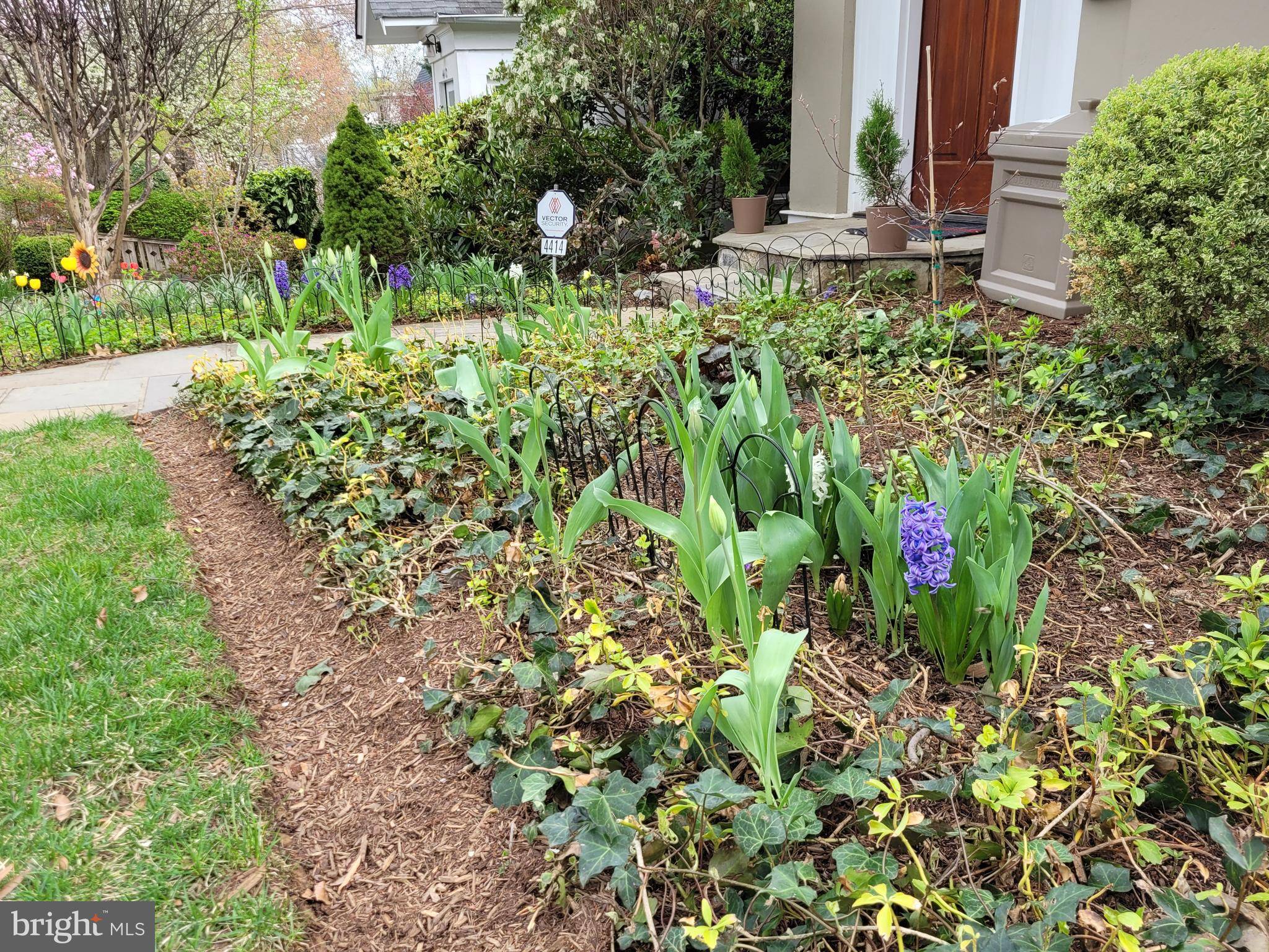 Washington, DC 20016,4414 LOWELL ST NW