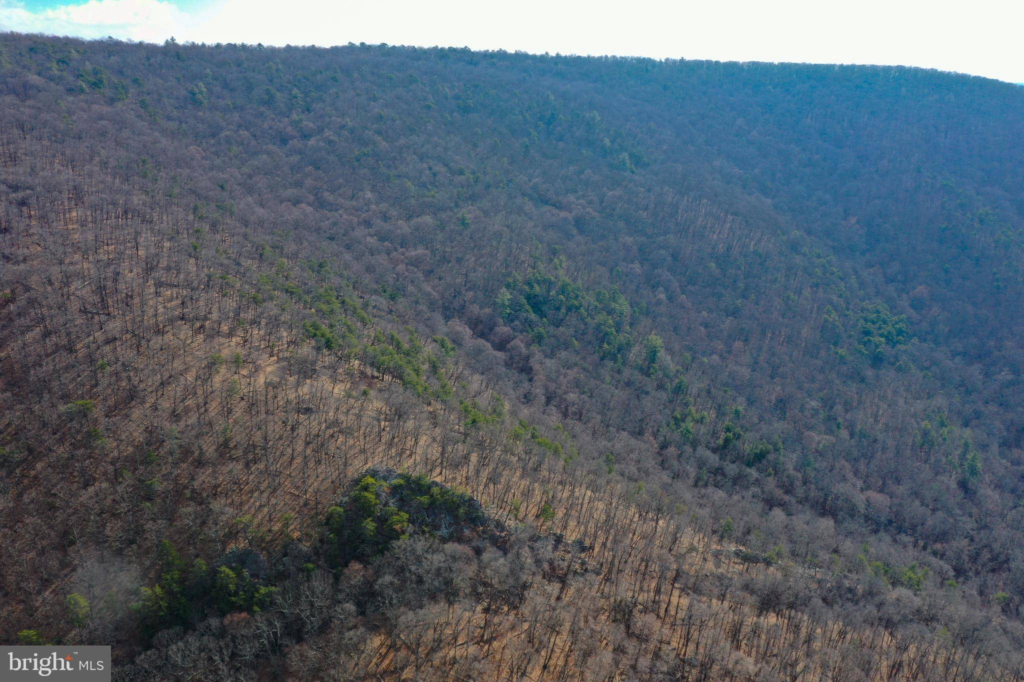 Fulks Run, VA 22830,0 CHURCH MOUNTAIN LN