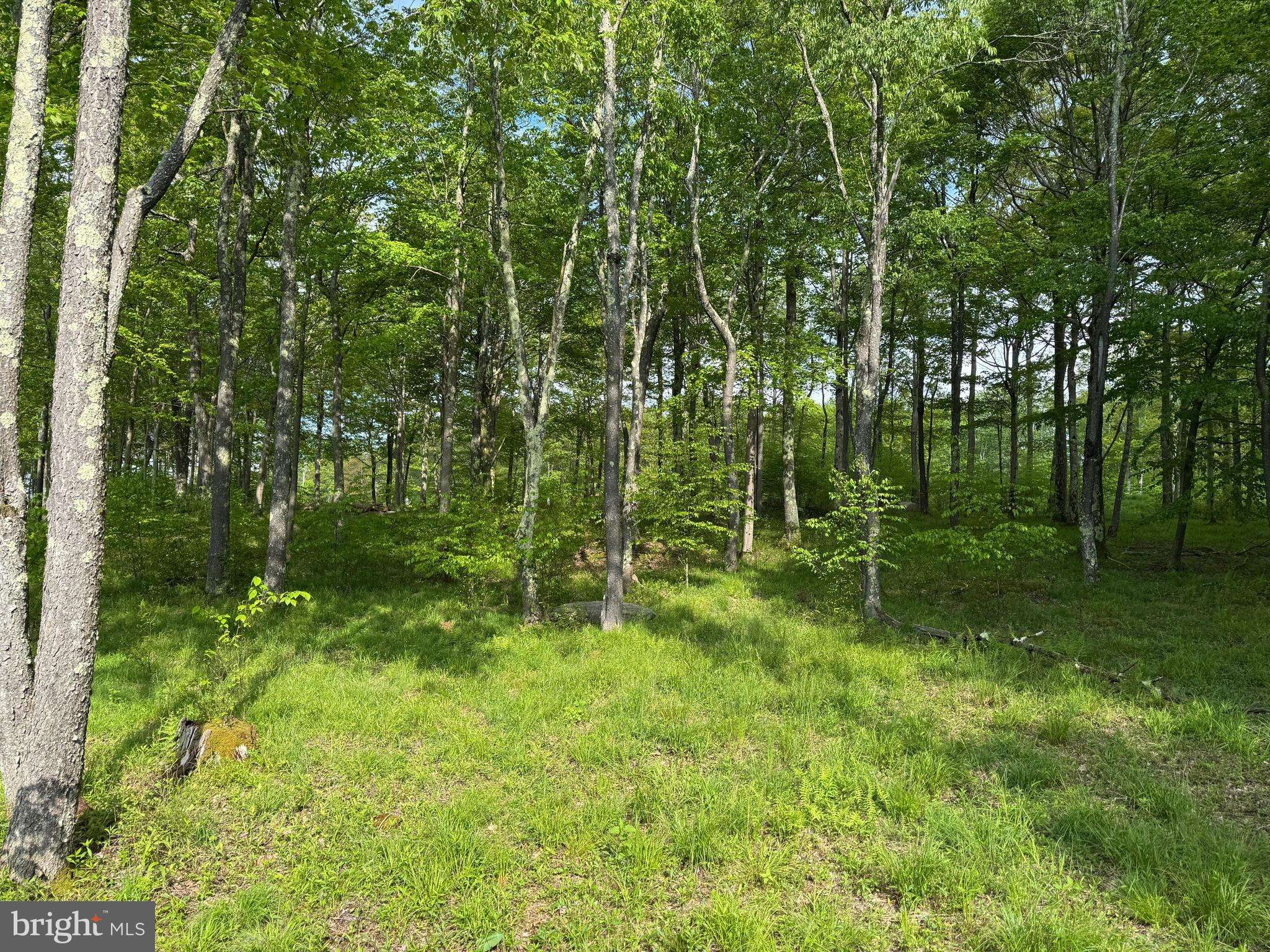Mc Henry, MD 21541,46 SANDSTONE CIR