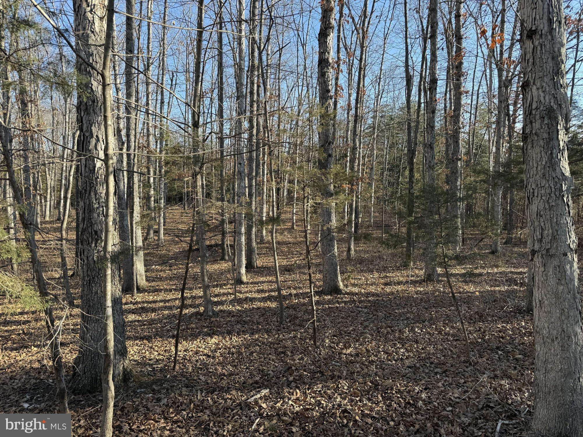 Middletown, VA 22645,LOT 83A RELIANCE