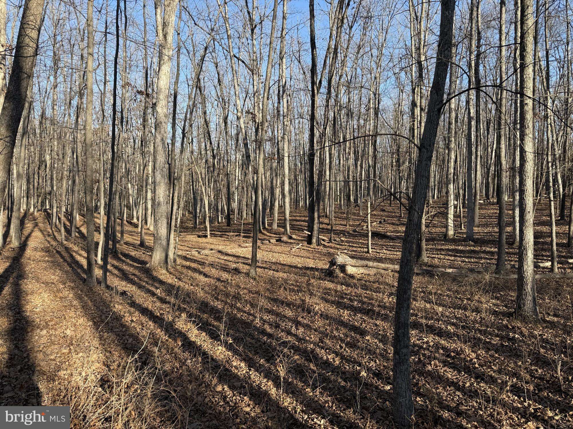 Middletown, VA 22645,LOT 83A RELIANCE