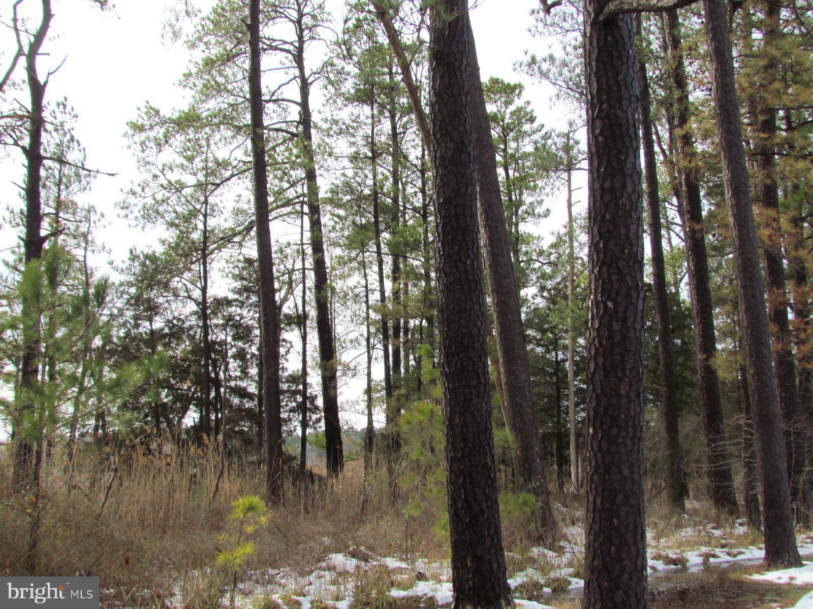 Piney Point, MD 20674,PINEY POINT RD