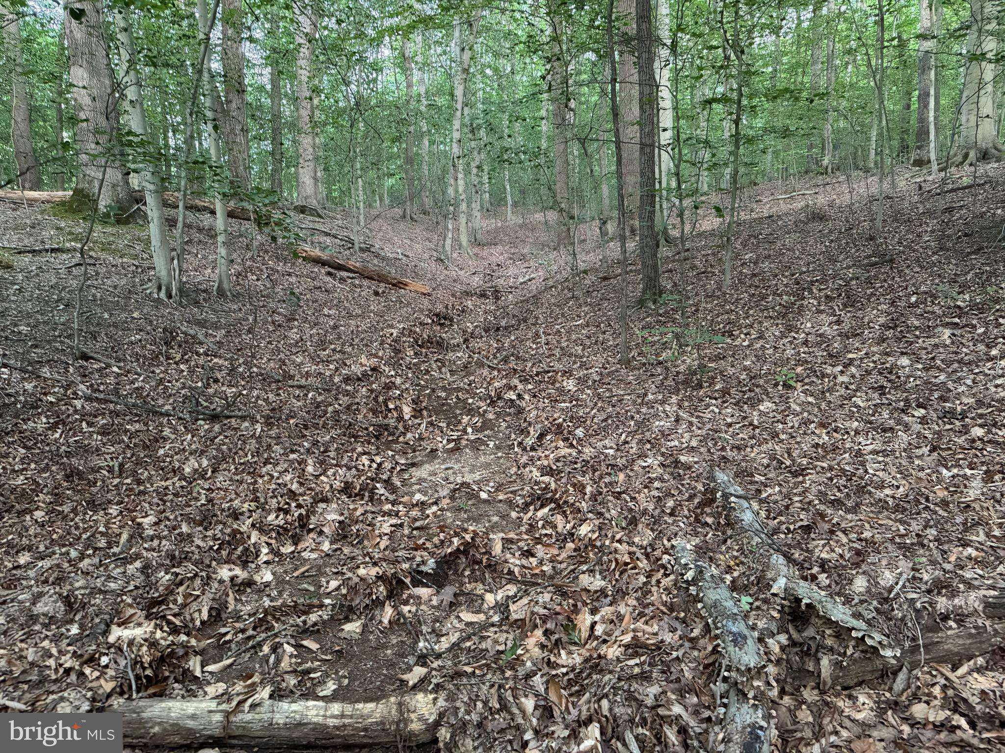 Joppa, MD 21085,3515-B CLAYTON RD