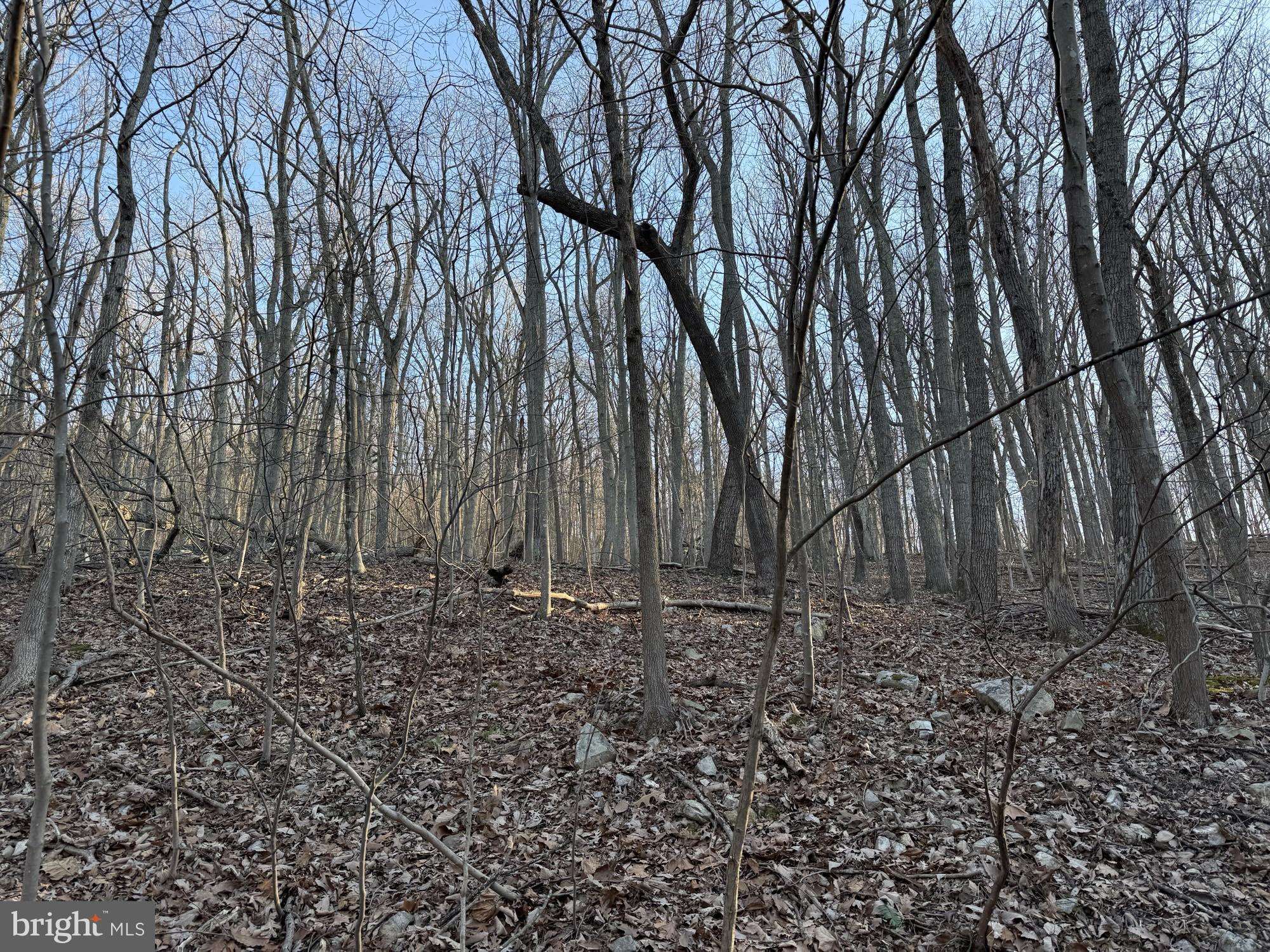 Front Royal, VA 22630,LOT 60 & 61 BALDWIN RD