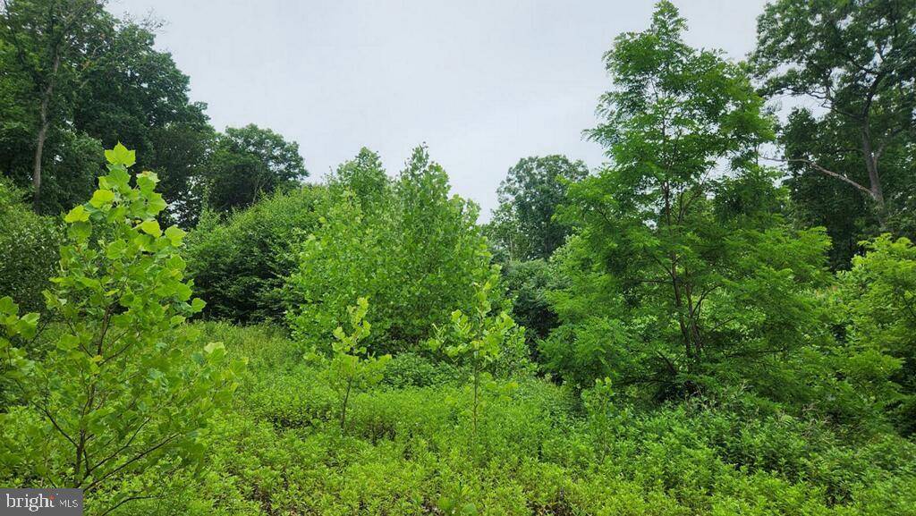 Newport, PA 17074,0 JUNIATA FURNACE LN