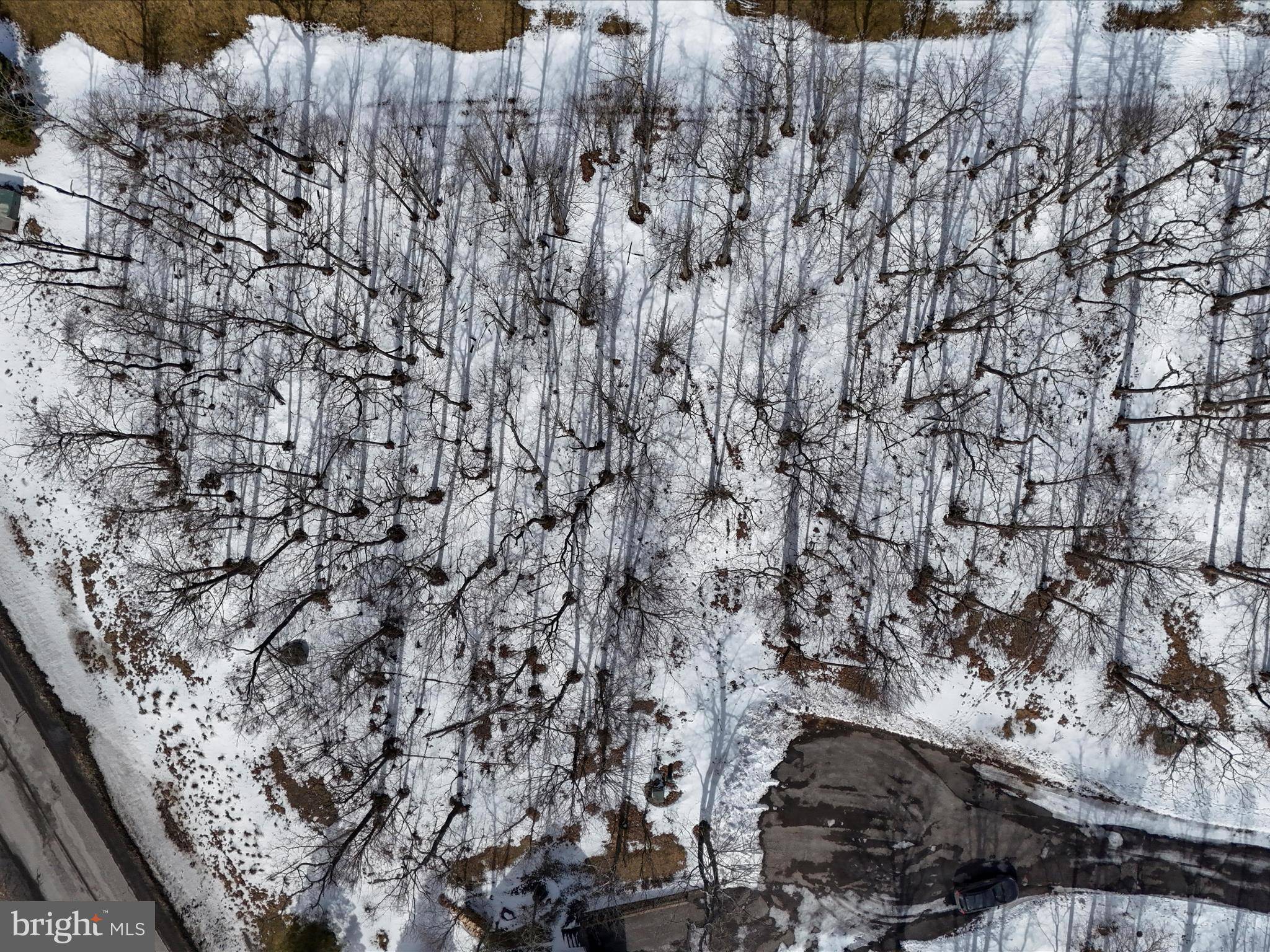 Mc Henry, MD 21541,LOT 32 SNOWSHOE CT