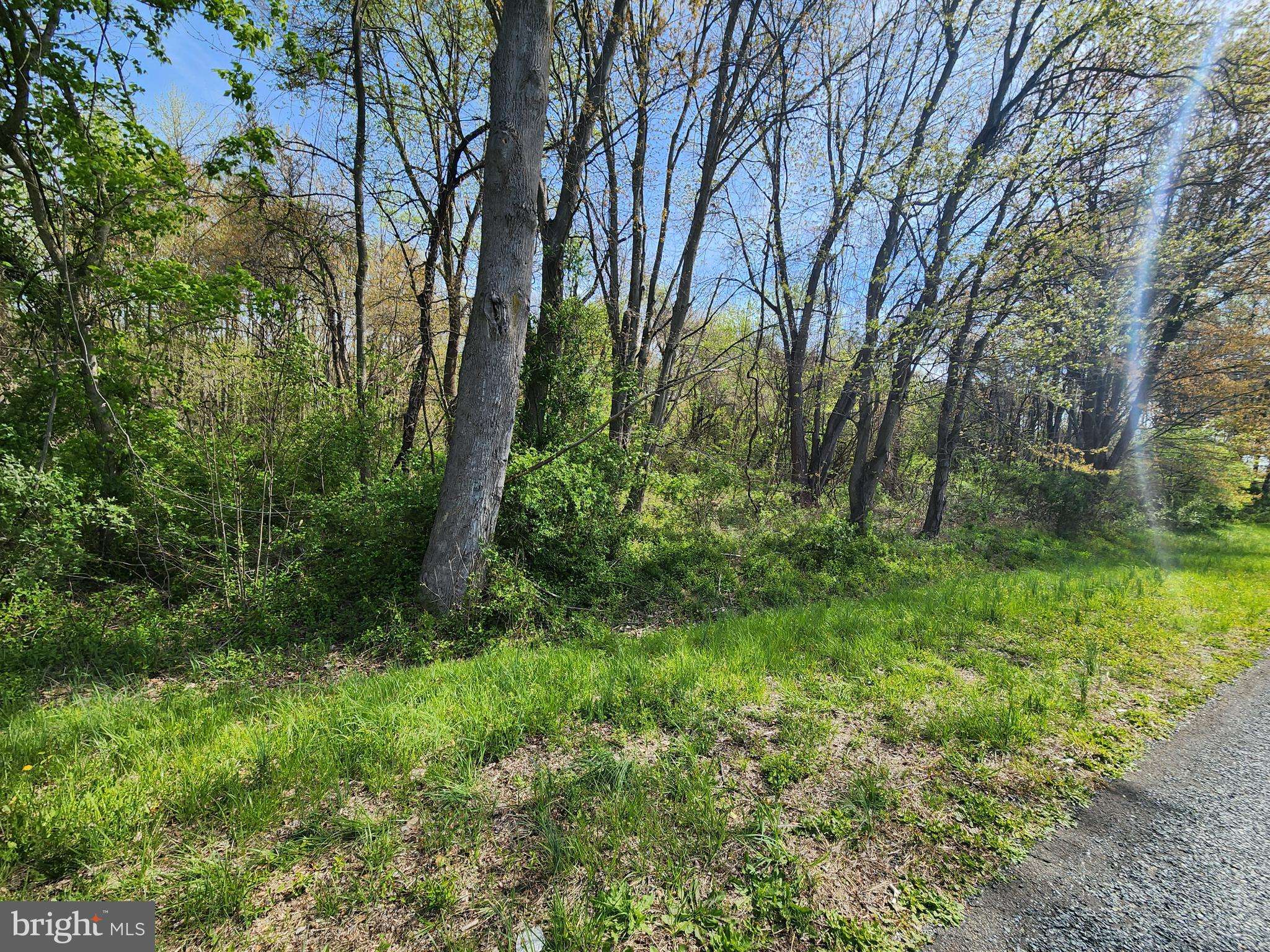 Chestertown, MD 21620,TOWHEE RD
