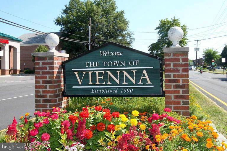 Vienna, VA 22180,311 MAPLE AVE W #C