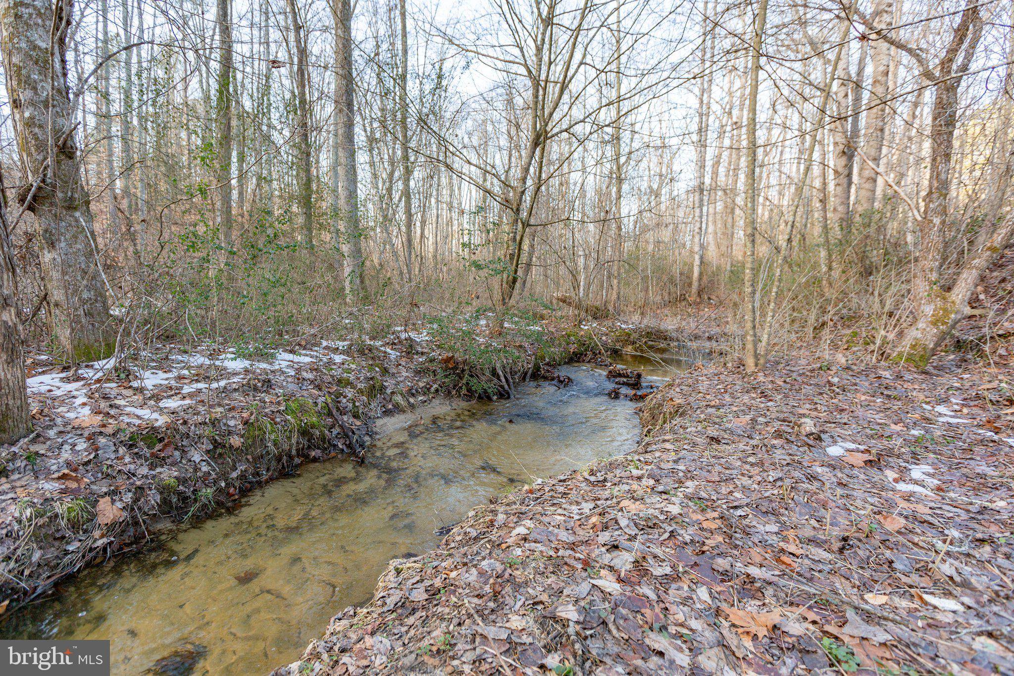 Milford, VA 22514,14426 NELSON HILL RD