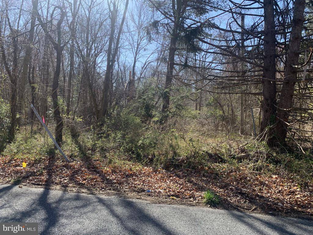 Williamstown, NJ 08094,0 E GRANT AVE