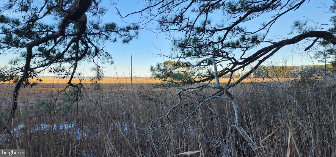Greenbackville, VA 23356,LOT 55 NEPTUNE DR