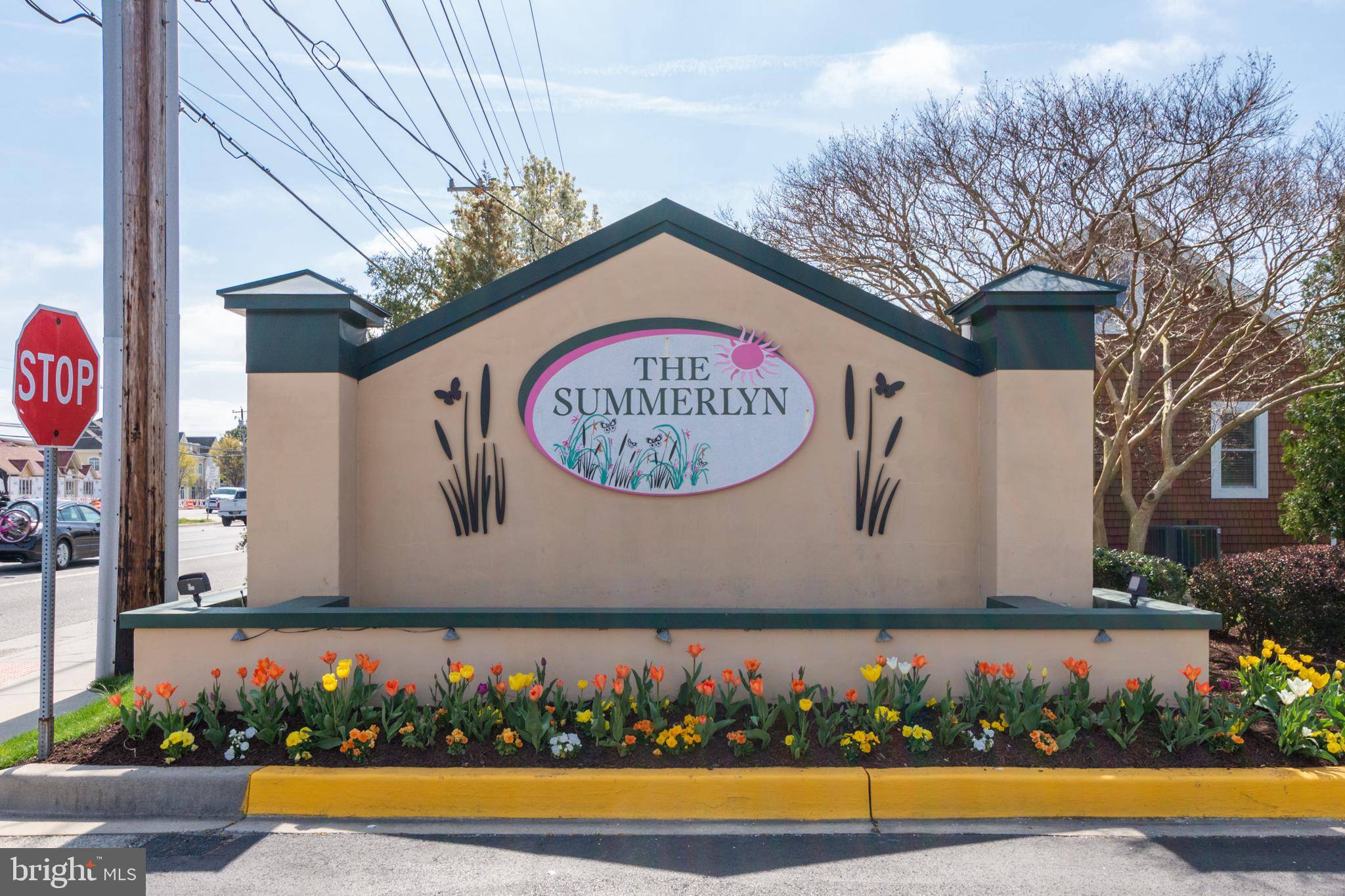 Lewes, DE 19958,34297 SUMMERLYN DR #509