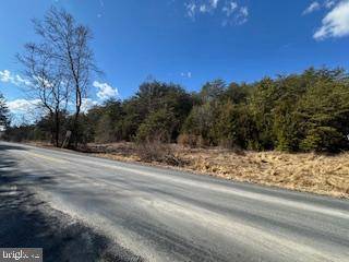 Fort Valley, VA 22652,TBD FORT VALLEY RD