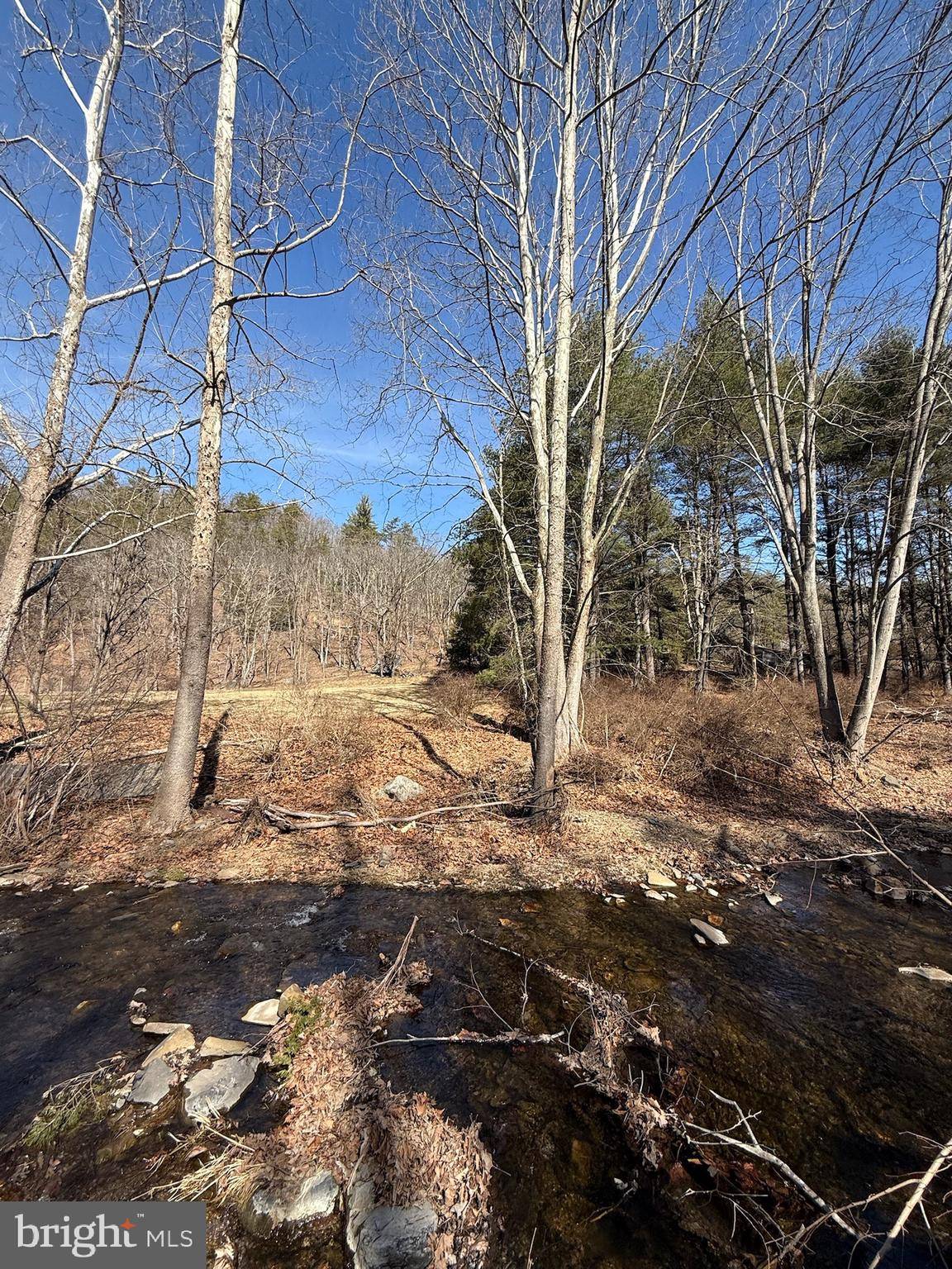 Yellow Spring, WV 26865,2 AC CAPON SPRINGS RD