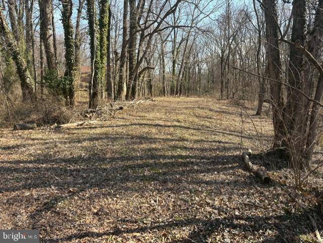 Alexandria, VA 22308,8126 STACEY RD
