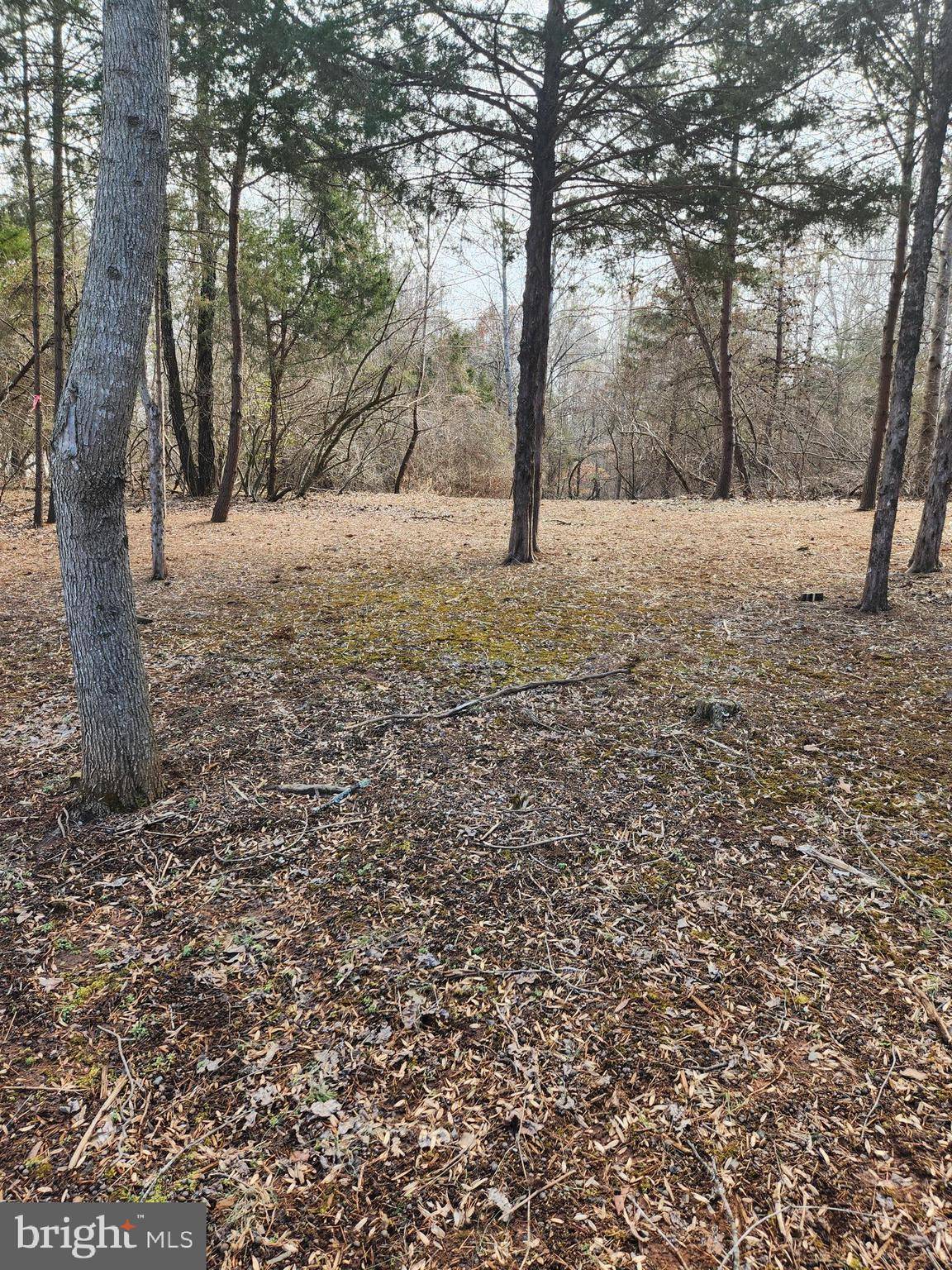 Boston, VA 22713,36 DEER LANE