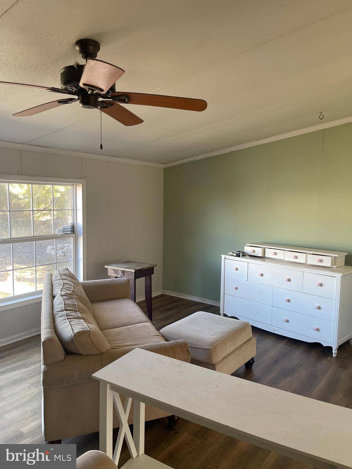 Frederica, DE 19946,74 FROG LEG LN