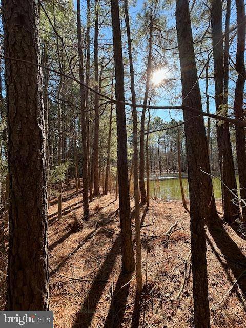Woolford, MD 21677,0 LAURIE LN