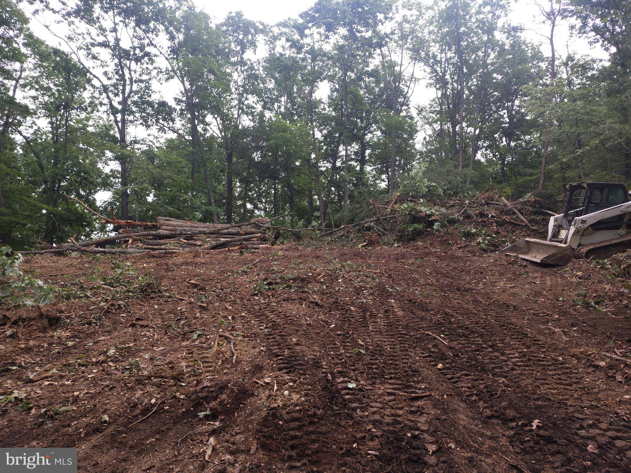 Basye, VA 22810,LAURA CT