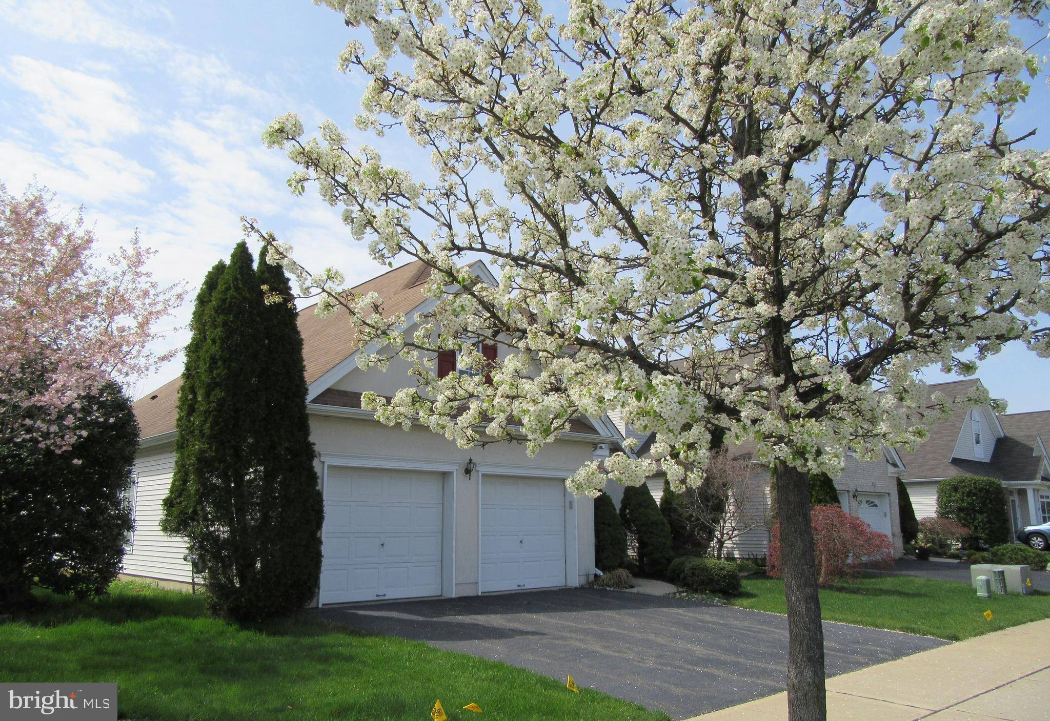 Princeton Junction, NJ 08550,157 TUNICFLOWER LN