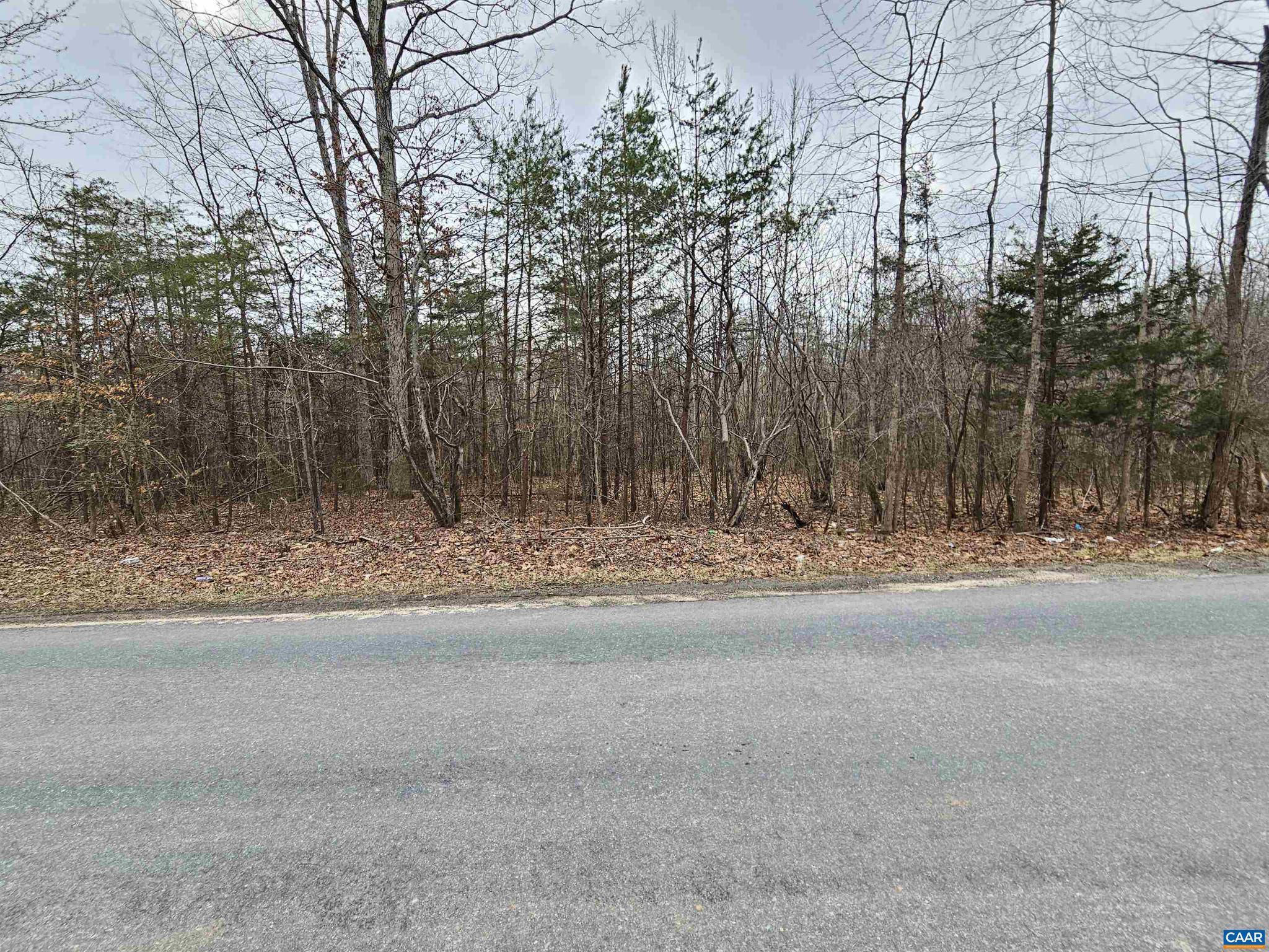 Dillwyn, VA 23936,TBD EVANS MILLS RD