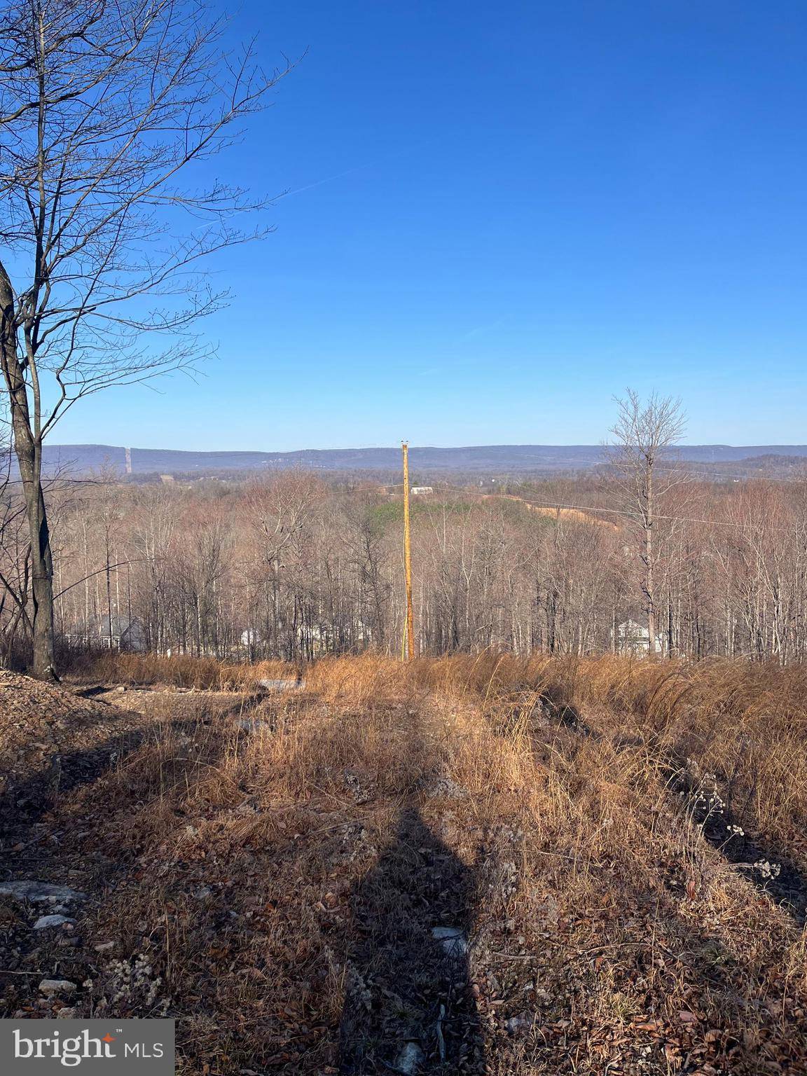 Hedgesville, WV 25427,TRACTS 5,7,9 CHIWEENY LN