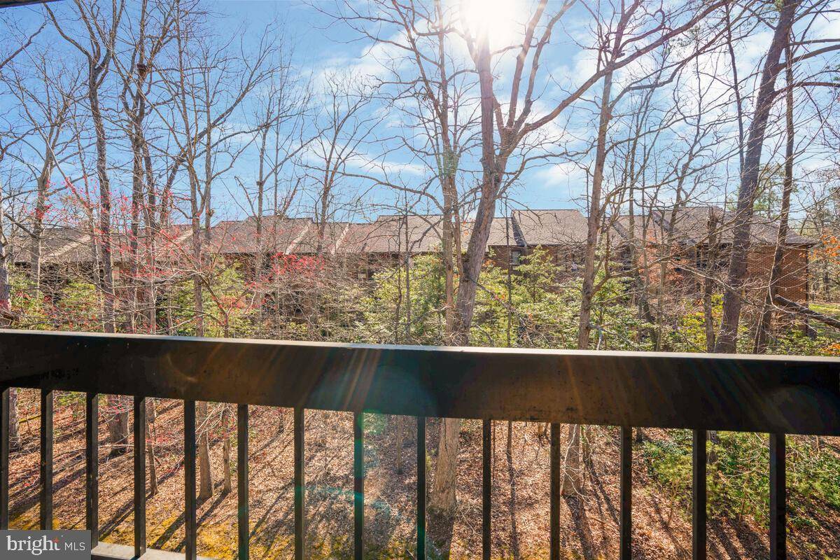 California, MD 20619,23242 CHESTNUT OAK CT #10E
