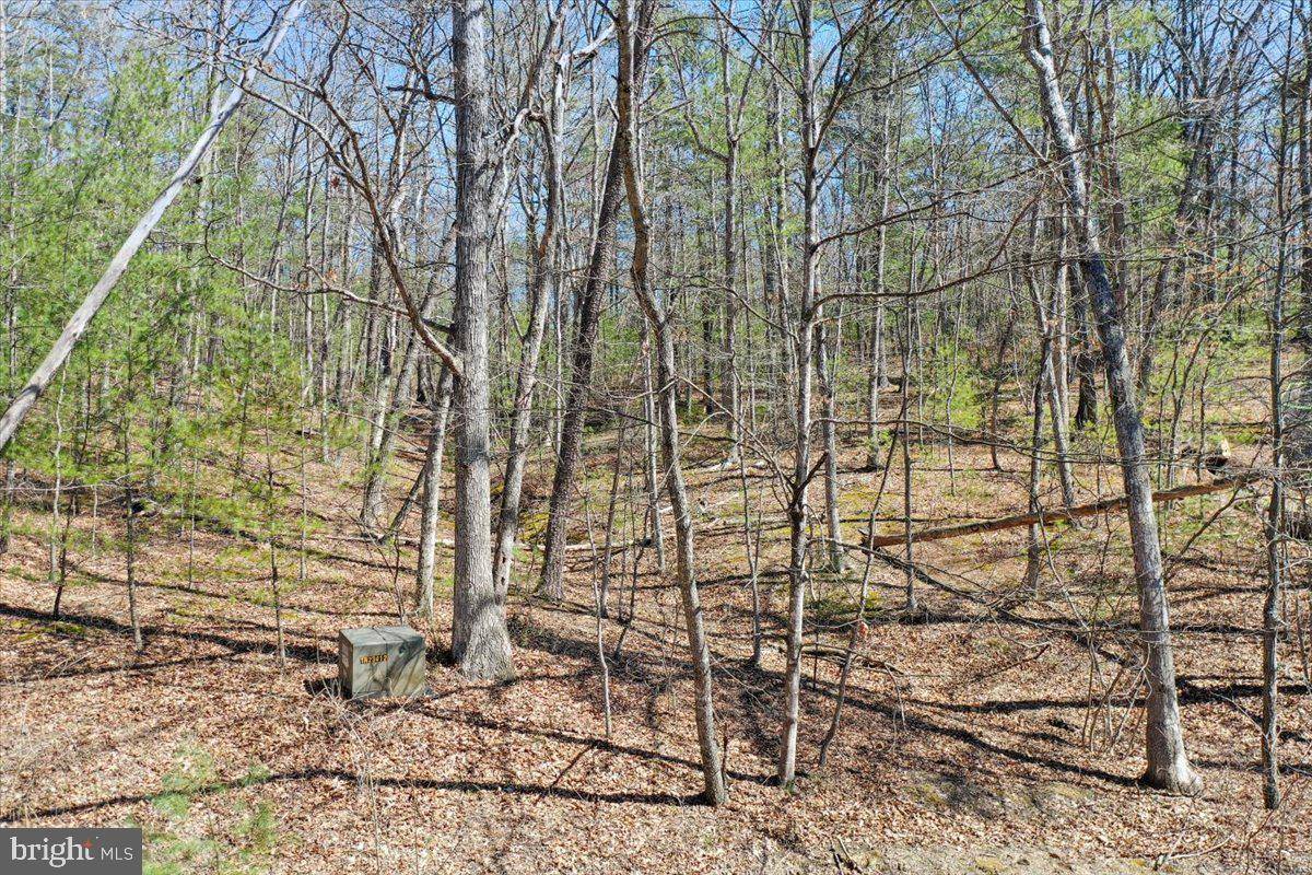 Mount Jackson, VA 22842,TBD ASH LN