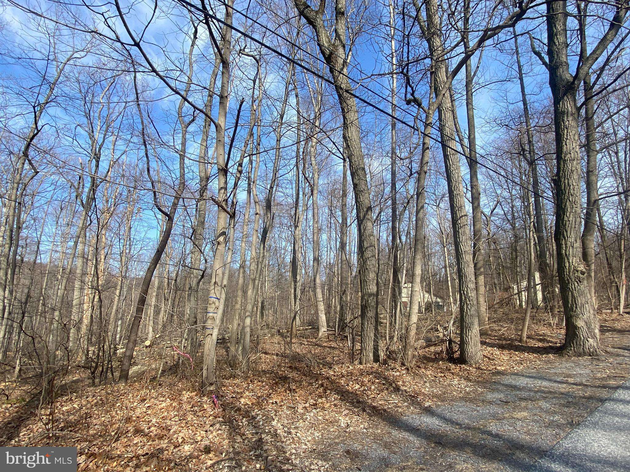Narvon, PA 17555,0 LAUREL RD