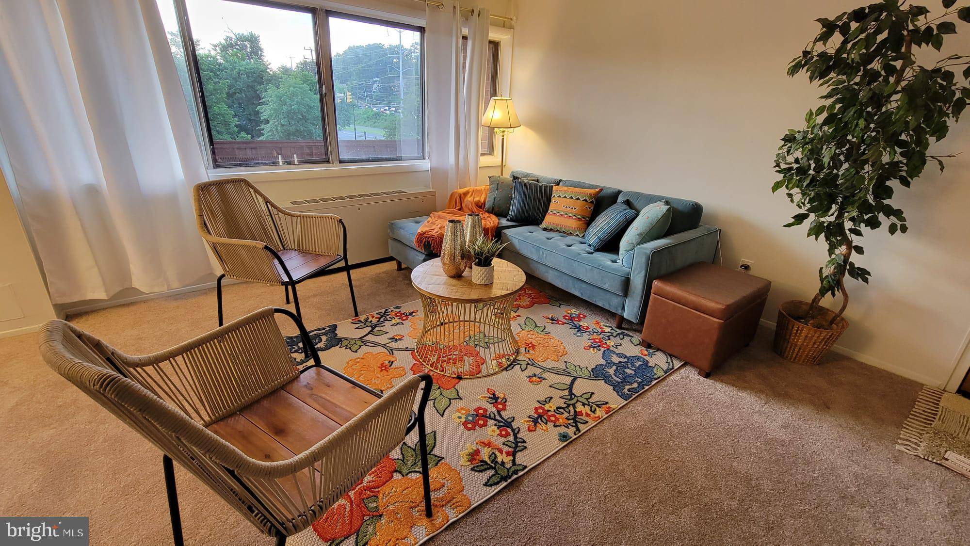 Arlington, VA 22204,1501 S GEORGE MASON DR S #23