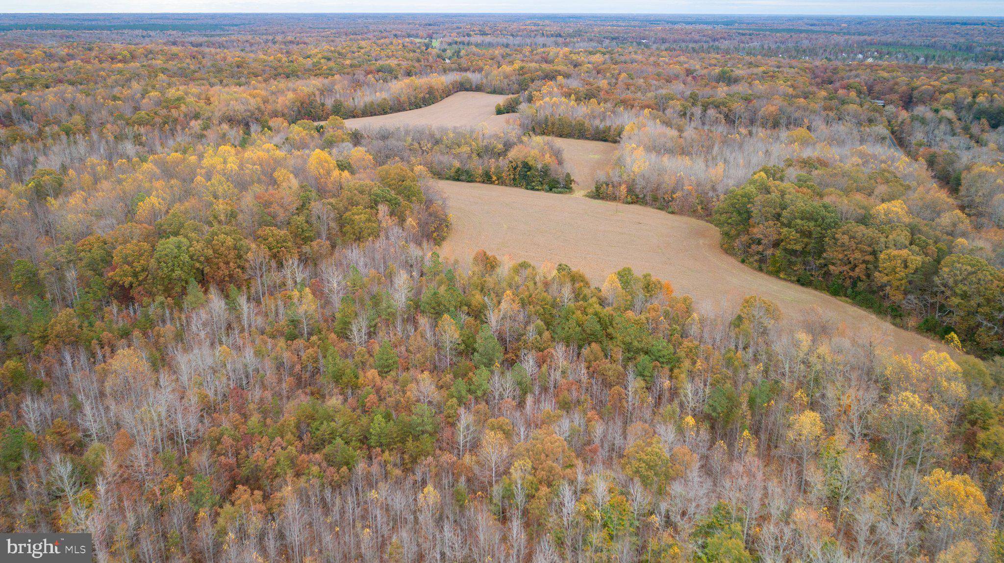 Partlow, VA 22534,5304 PARTLOW RD