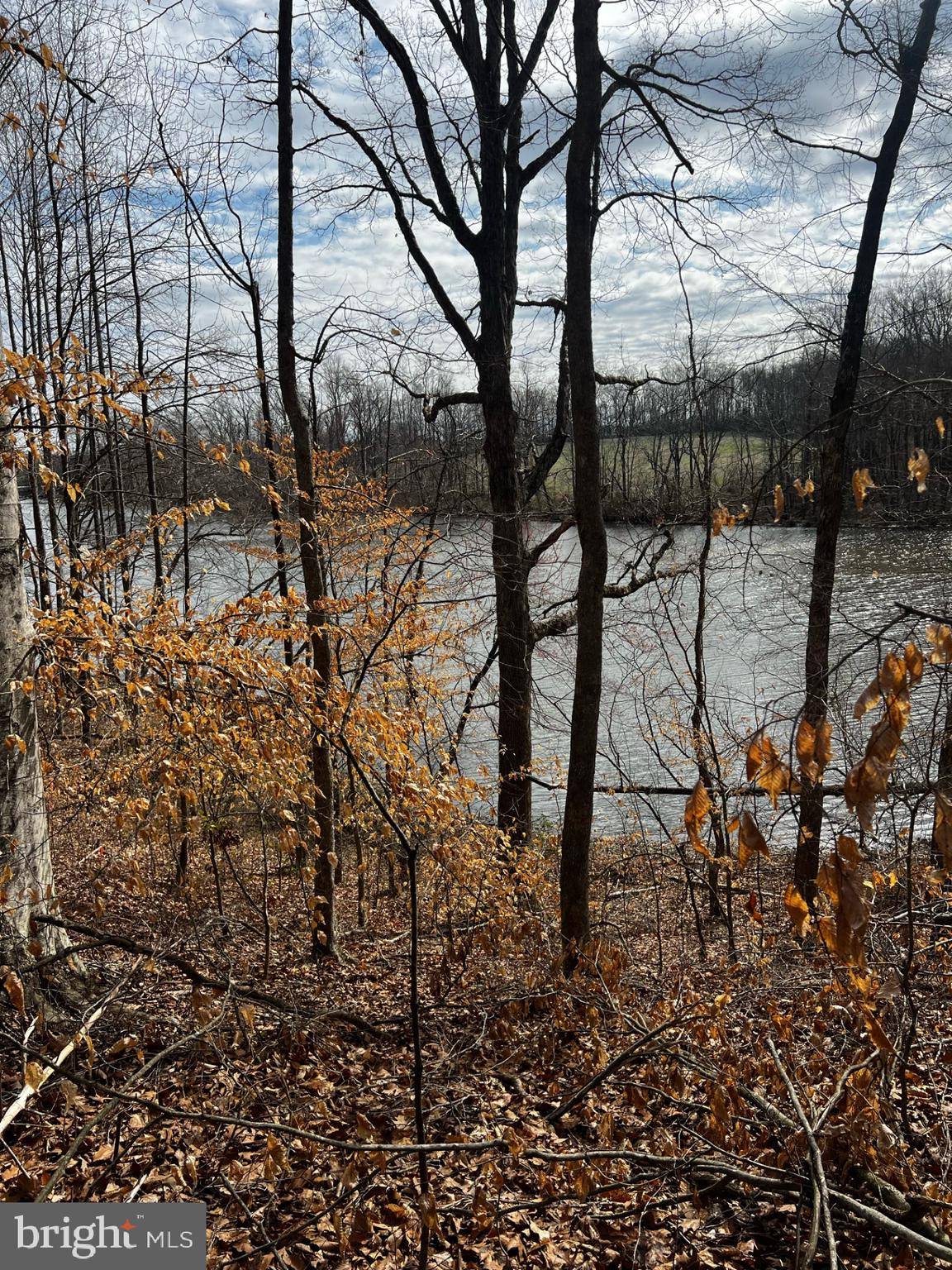 Mineral, VA 23117,LOT 56 COMPASS COVE