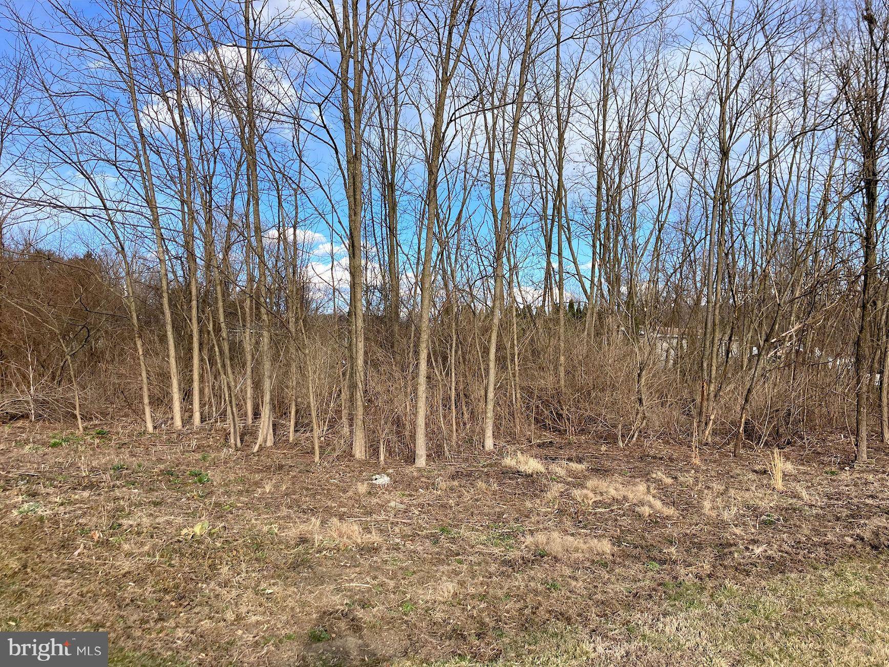 Tyrone, PA 16686,-LOT #11 WATERLINE DR