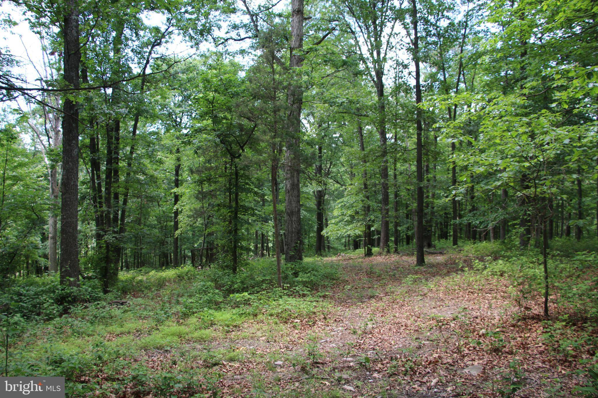 Winchester, VA 22602,GOUGH RD