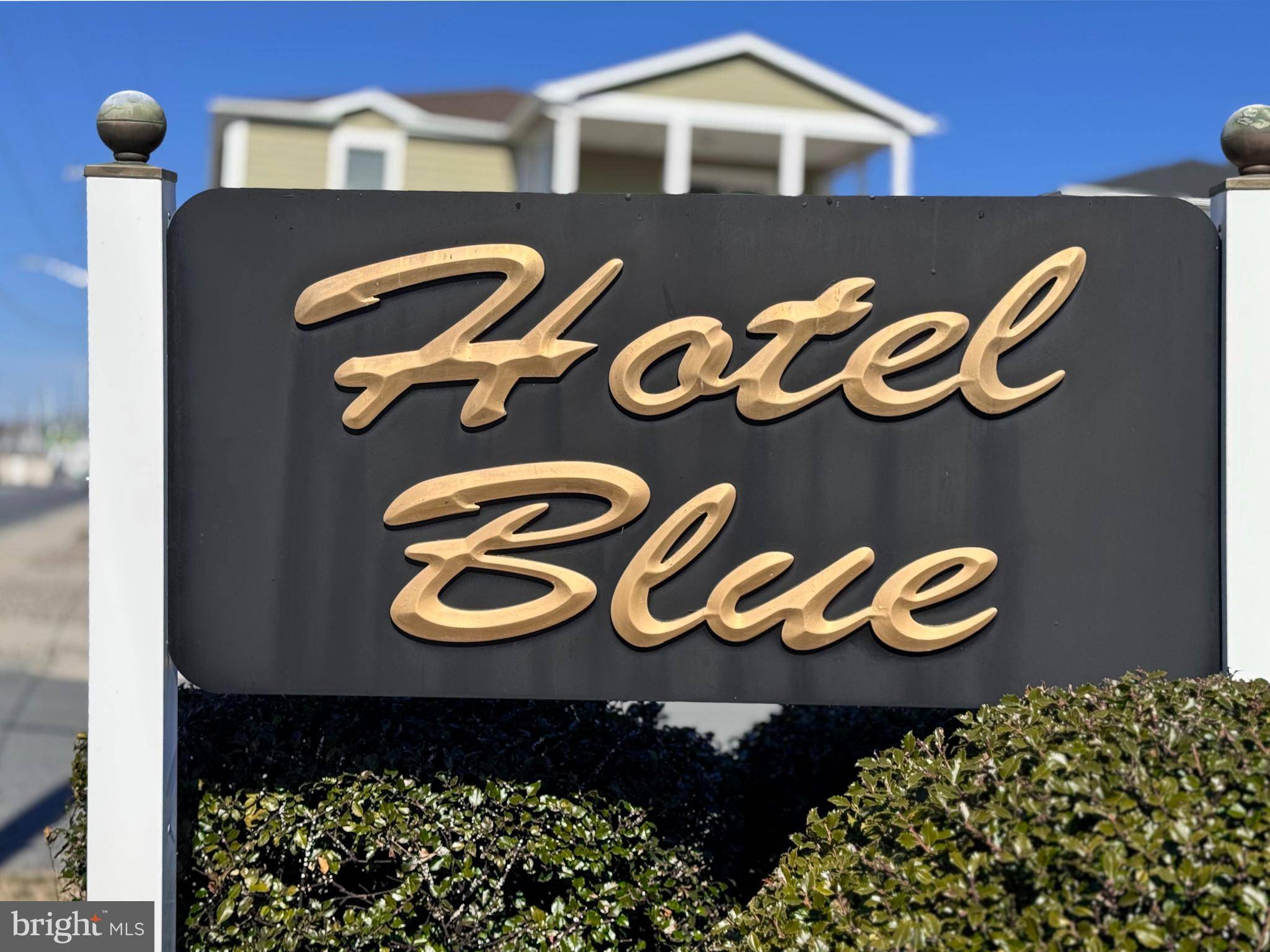 Lewes, DE 19958,110 ANGLERS RD #HOTEL BLUE