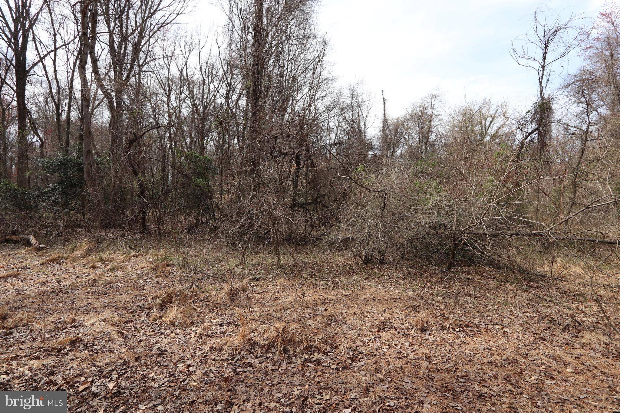 Bryans Road, MD 20616,LOTS 2-15 PENGUIN PL