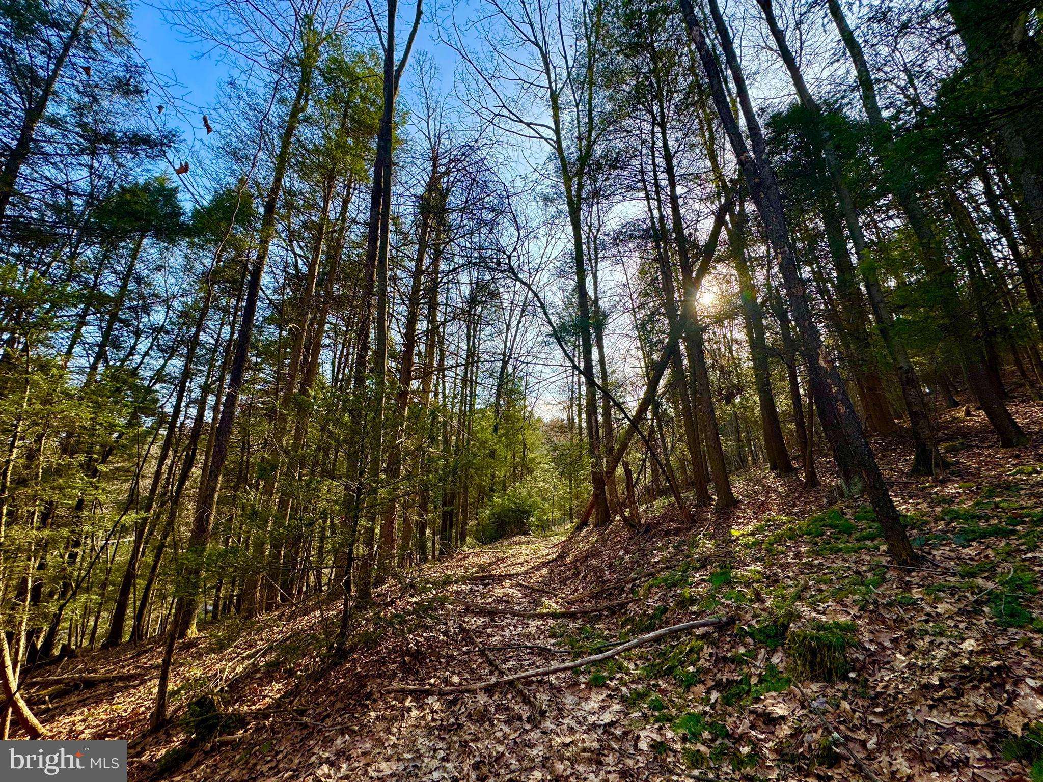 Albright, WV 26519,LOT 30 WILD FLOWER WAY