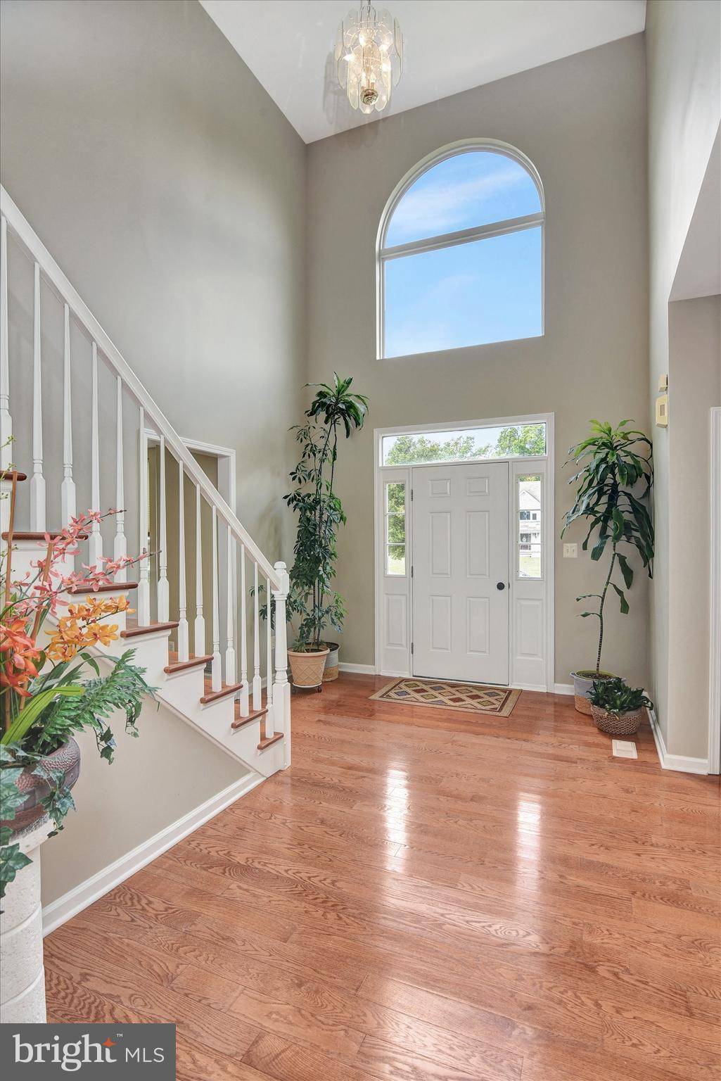 Jackson, NJ 08527,3 MEADOWLARK CT