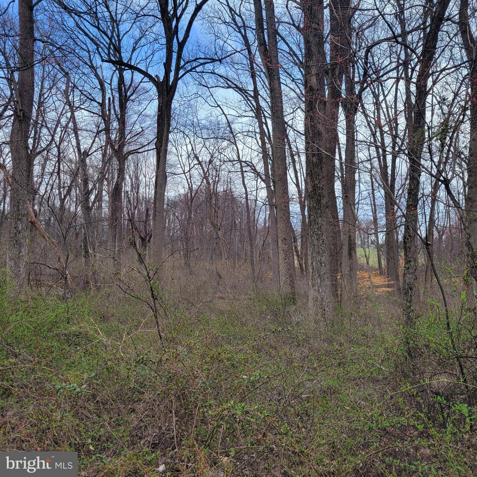 Port Deposit, MD 21904,WAIBEL RD