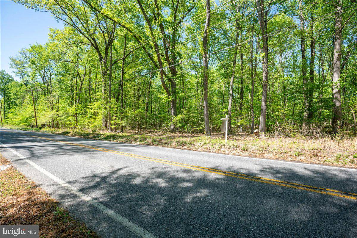 White Plains, MD 20695,LOT 14 BILLINGSLEY RD