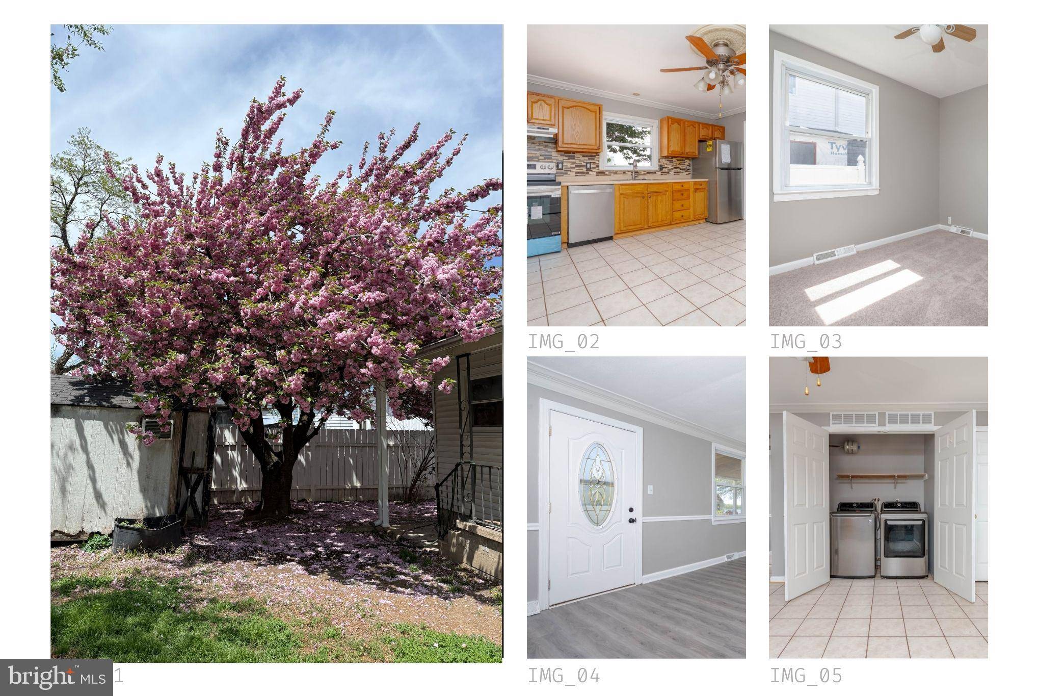 Baltimore, MD 21222,8249 BULLNECK RD